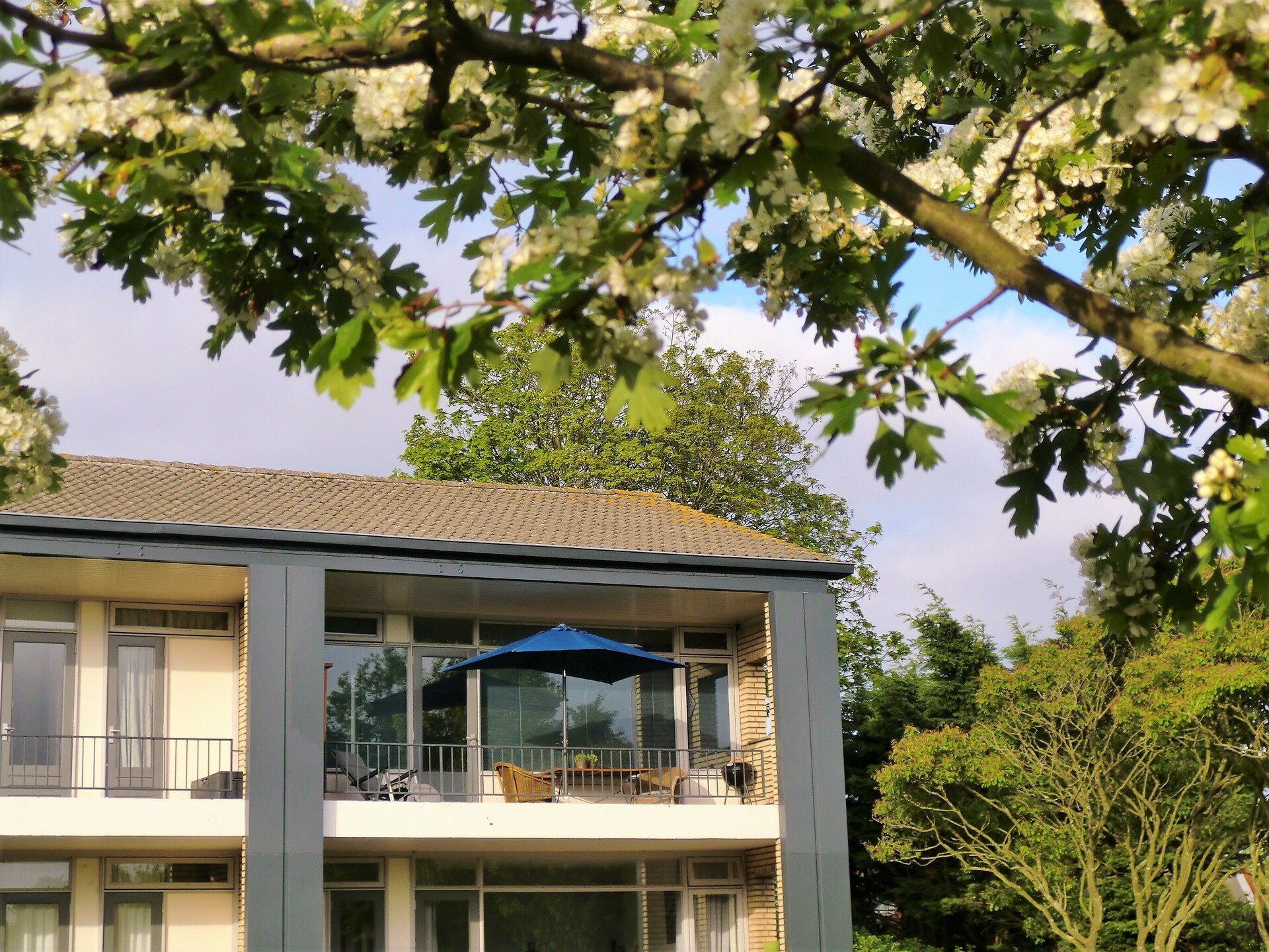 Noordzee: Intiem appartement in bosrijke duinen, 800m van het strand - foto 6