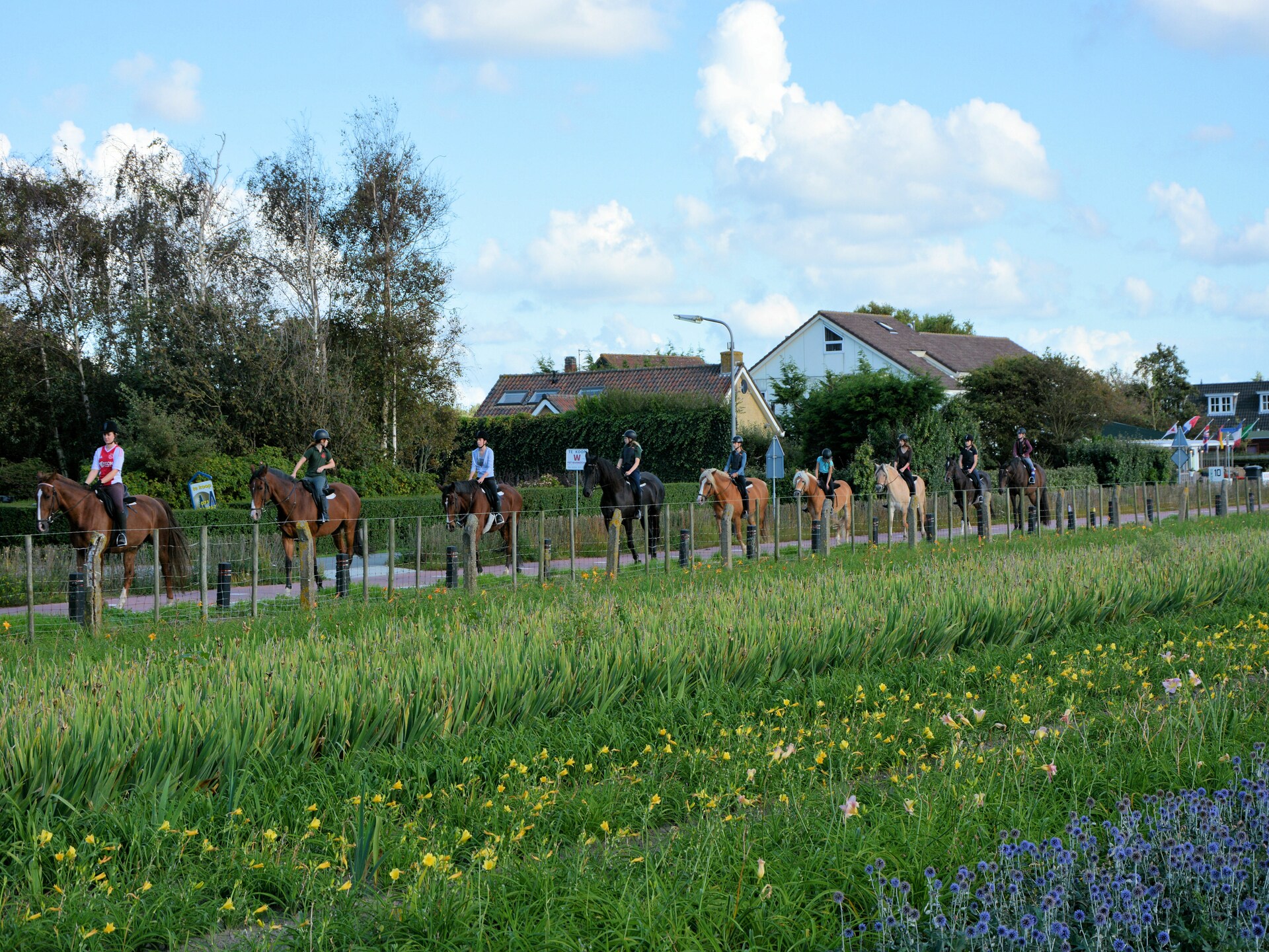 Noordzee: Intiem appartement in bosrijke duinen, 800m van het strand - foto 17