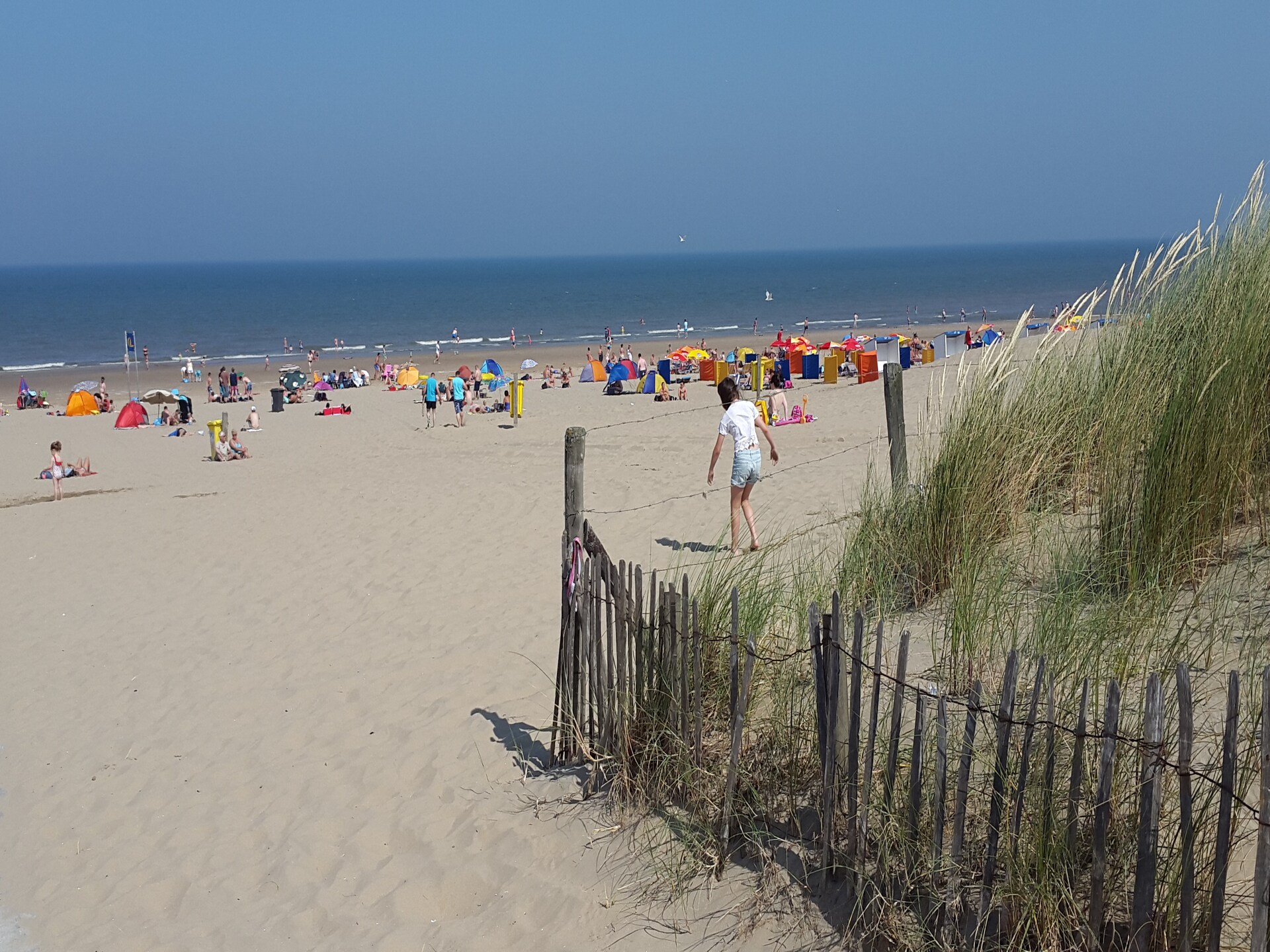 Noordzee: Intiem appartement in bosrijke duinen, 800m van het strand - foto 20