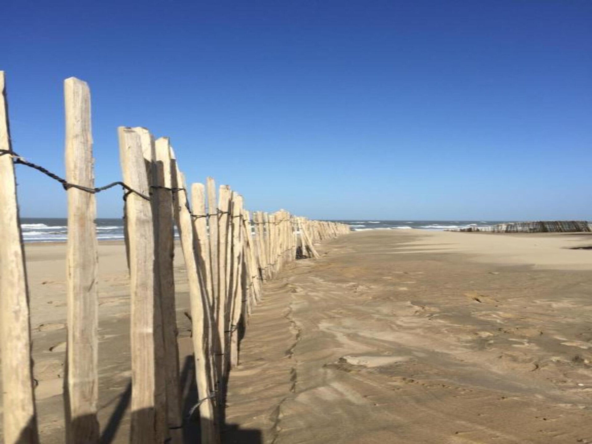 Noordzee: Intiem appartement in bosrijke duinen, 800m van het strand - foto 22