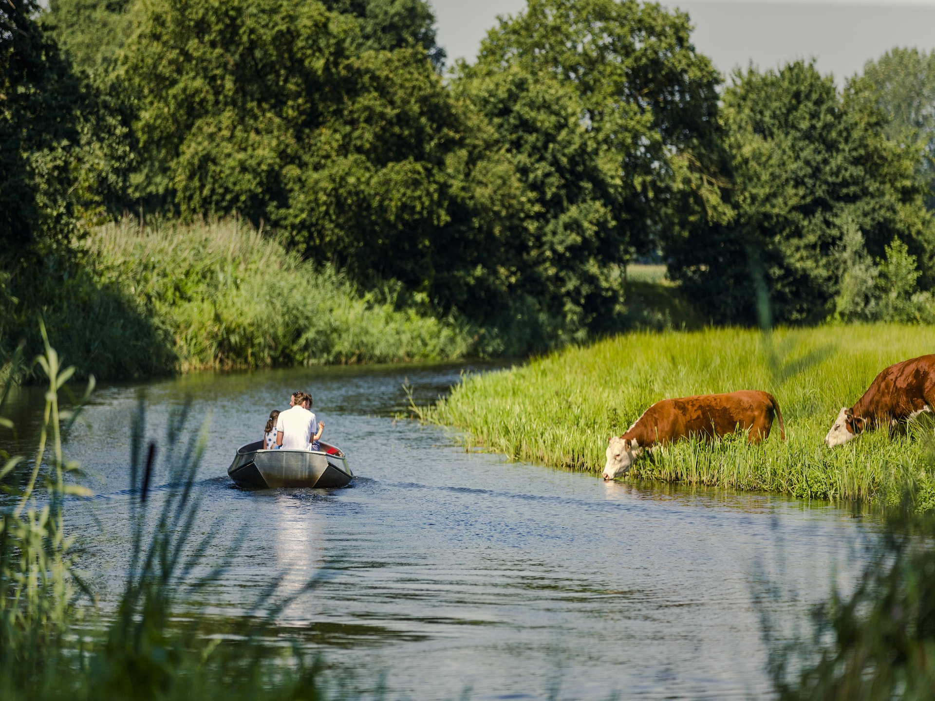 Lichte bungalow voor 3 personen aan het water in Zuna - foto 33