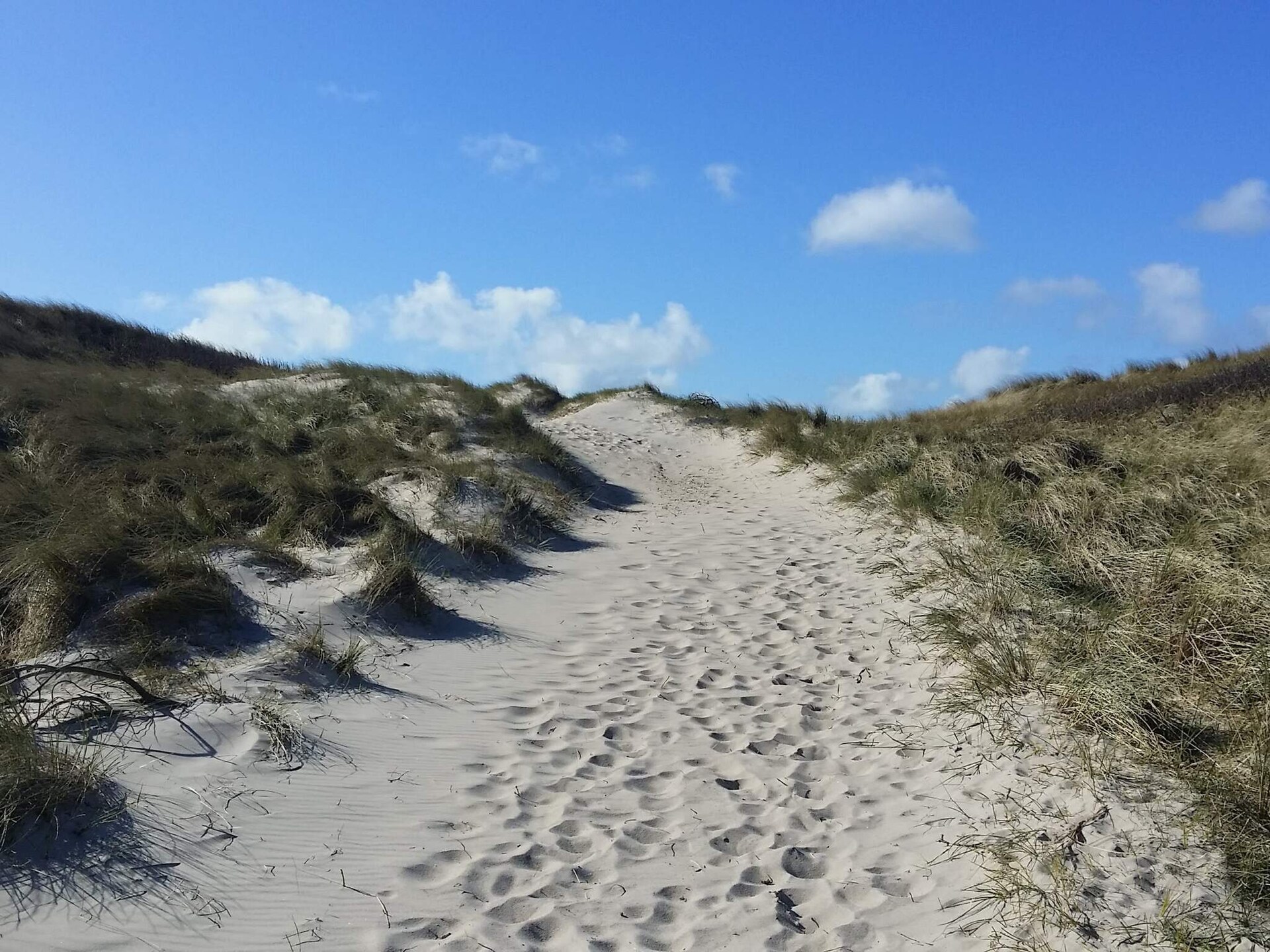 6-persoons luxe appartement aan zee in Ringkøbing - foto 14