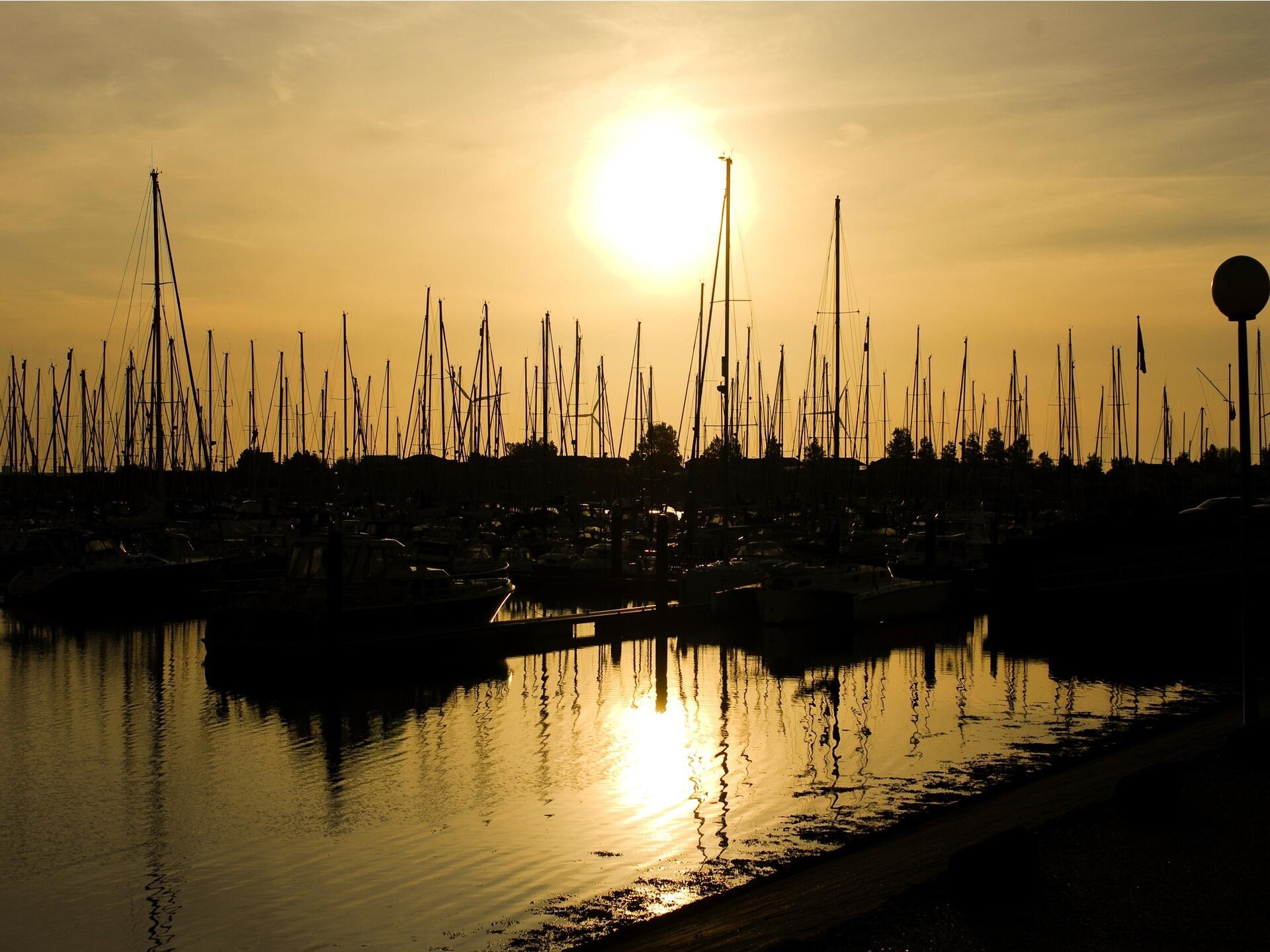 Water Village 3: Duurzame bungalow aan het Veerse Meer - foto 14