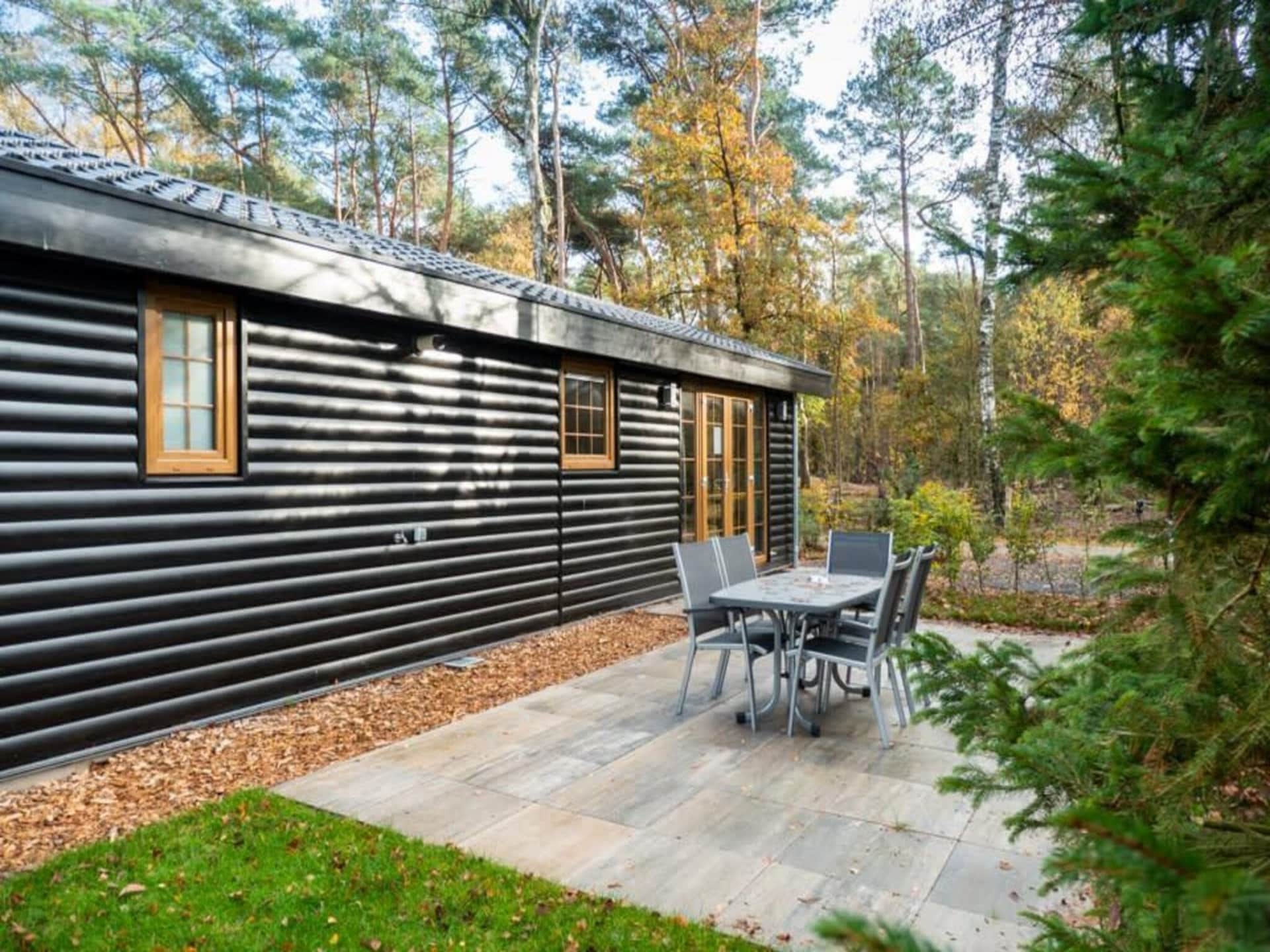 Gezellig chalet voor 5 personen in de bossen van Otterlo - foto 6