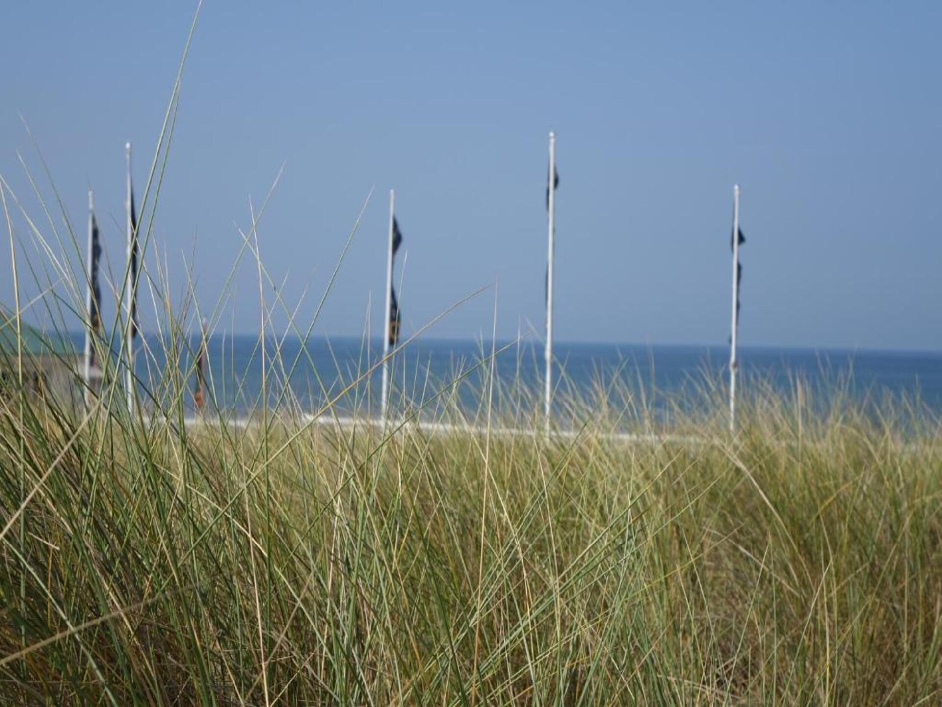 Walhalla aan Zee: Vrijstaand boshuis op 1 km van Noordwijks strand - foto 29