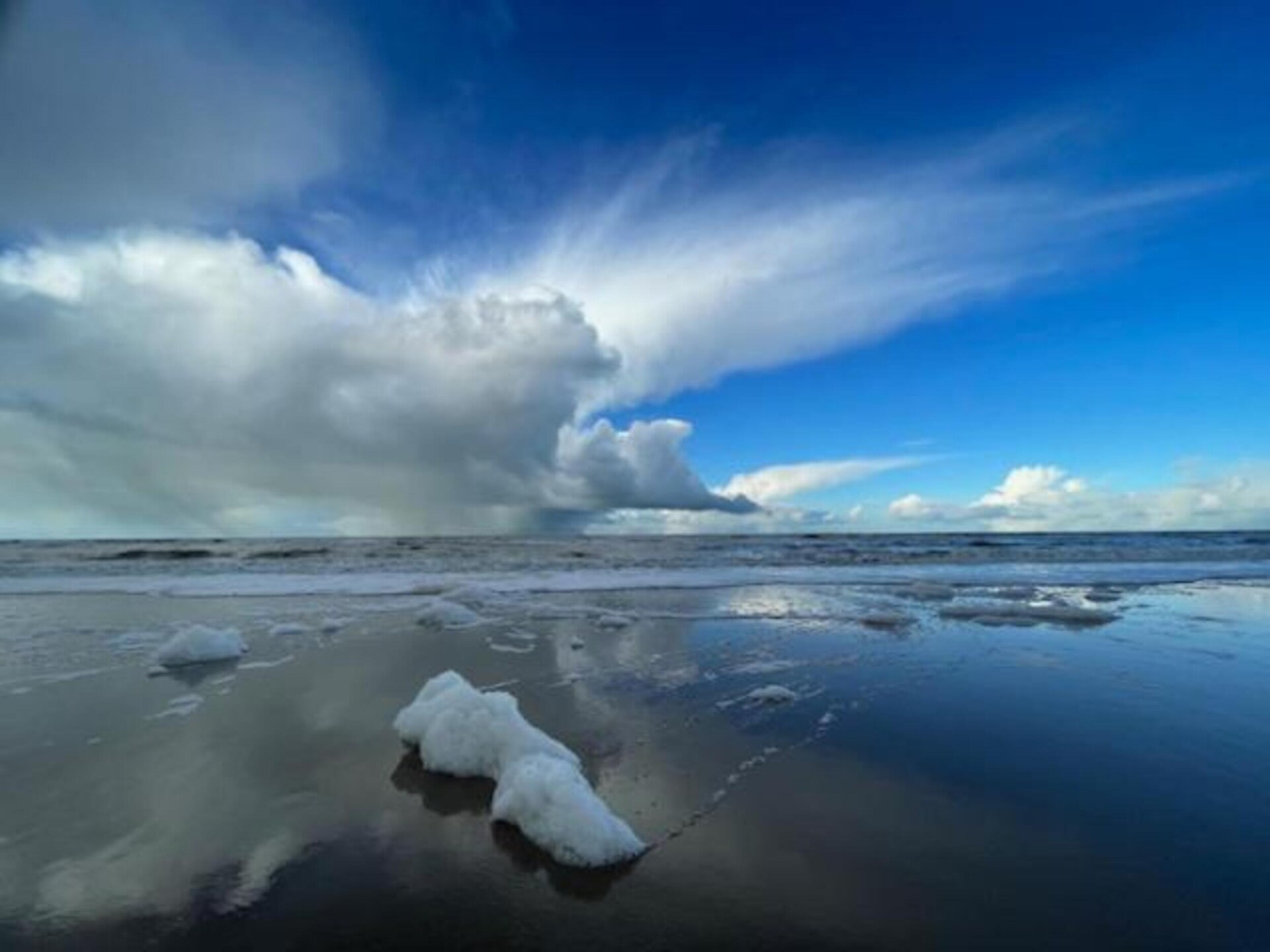 Walhalla aan Zee: Vrijstaand boshuis op 1 km van Noordwijks strand - foto 38