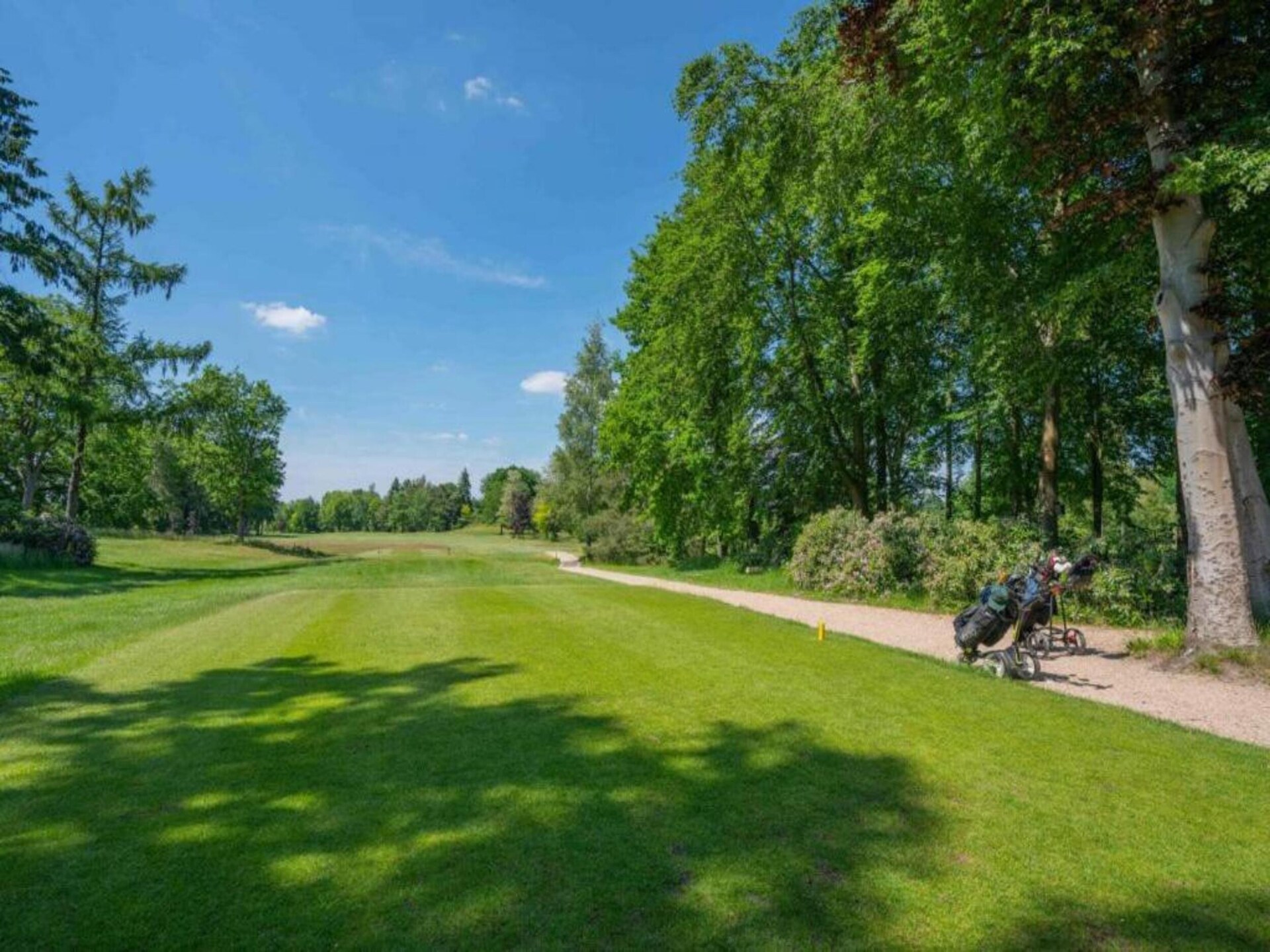 Halfvrijstaande bungalow voor 4 personen op Vakantiepark Weerterbergen - foto 31