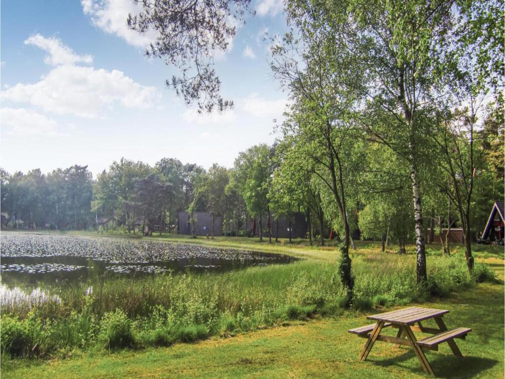 Vrijstaande bungalow voor 6 personen op Vakantiepark Weerterbergen - foto 29
