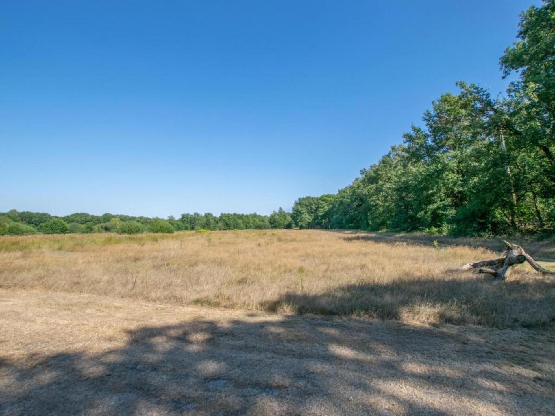 Glamping tentlodge op Vakantiepark Sandberghe met huisdieren welkom - foto 27