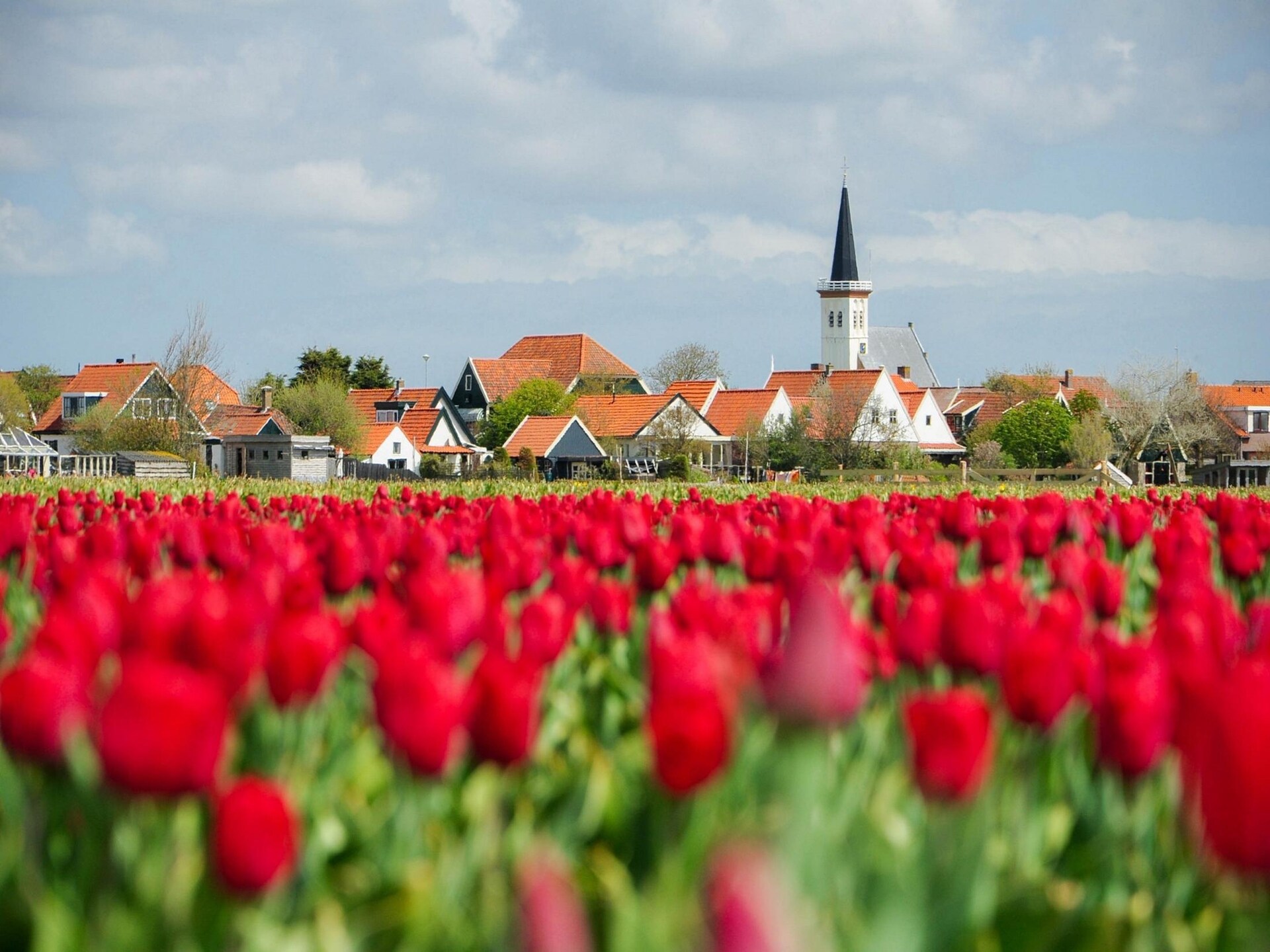 Het Wambuis: sfeervol monumentaal vakantiehuis in Den Hoorn, Texel - foto 35