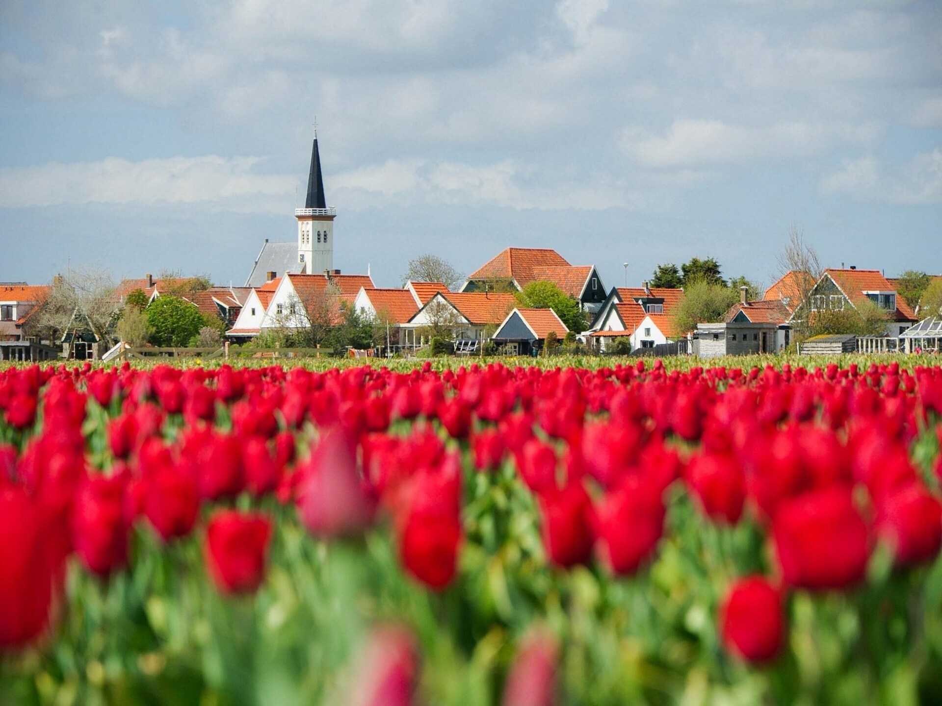 Het Wambuis: sfeervol monumentaal vakantiehuis in Den Hoorn, Texel - foto 38