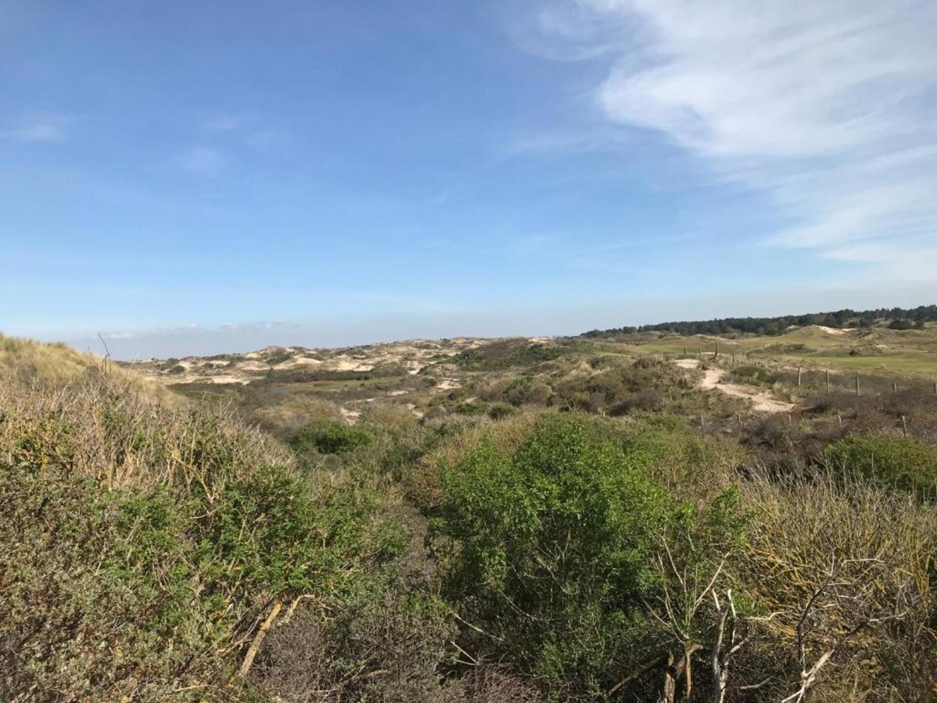 Vrijstaande bungalow bij Noordzeestrand en recreatiemeer in Noordwijkerhout - foto 30