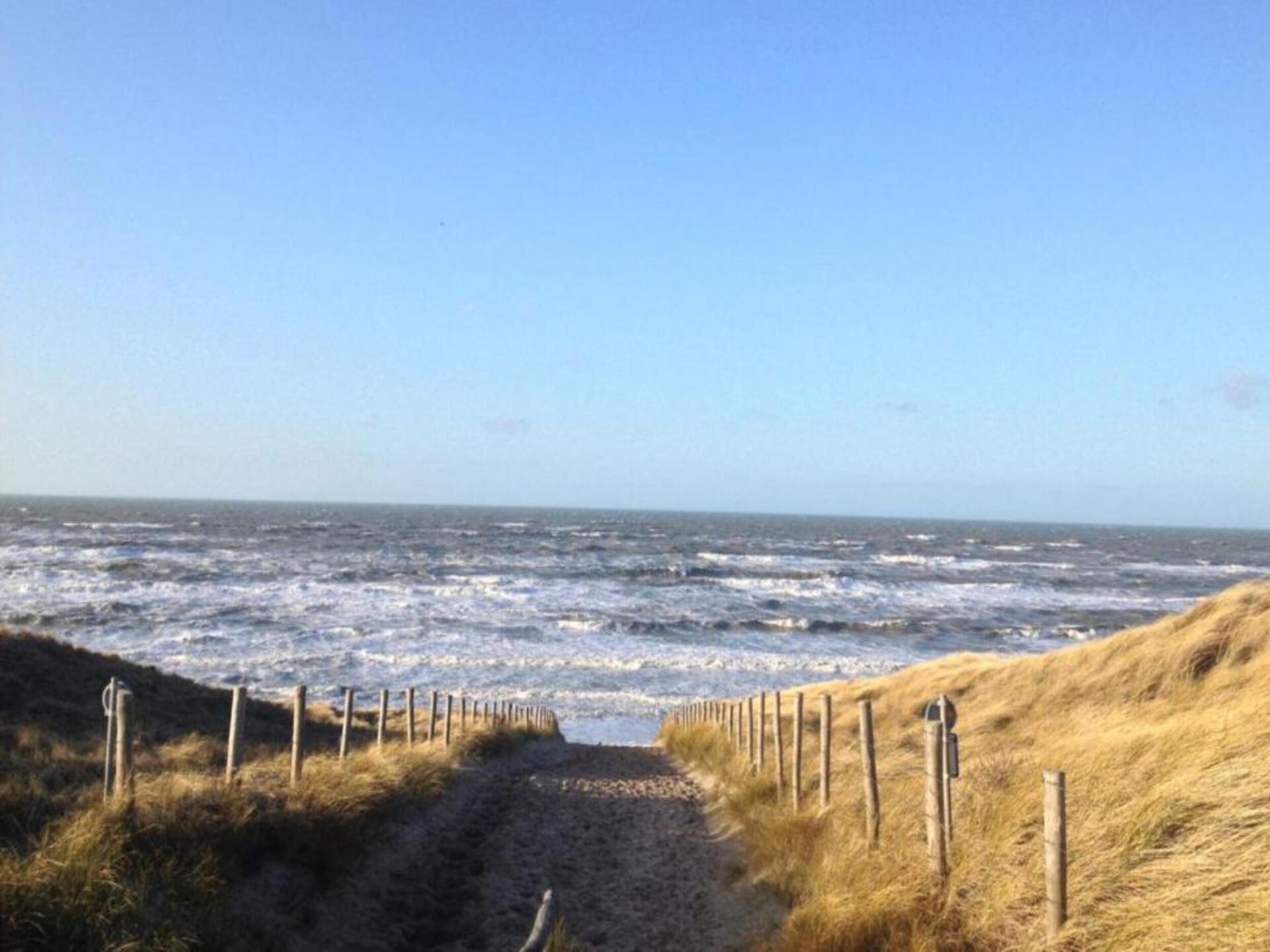 Vrijstaande bungalow bij Noordzeestrand en recreatiemeer in Noordwijkerhout - foto 28
