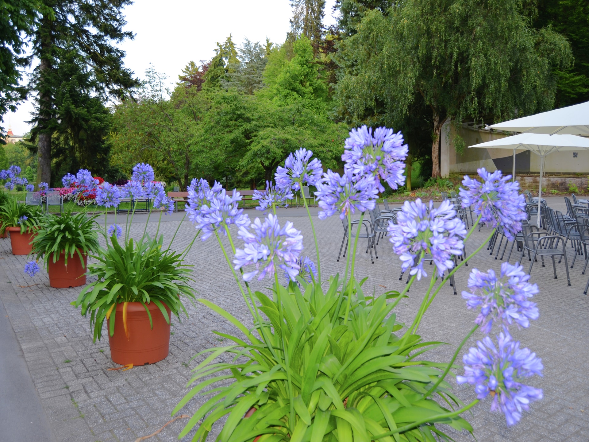 11-persoons vakantiehuis in Bad Wildungen nabij de piste - foto 17