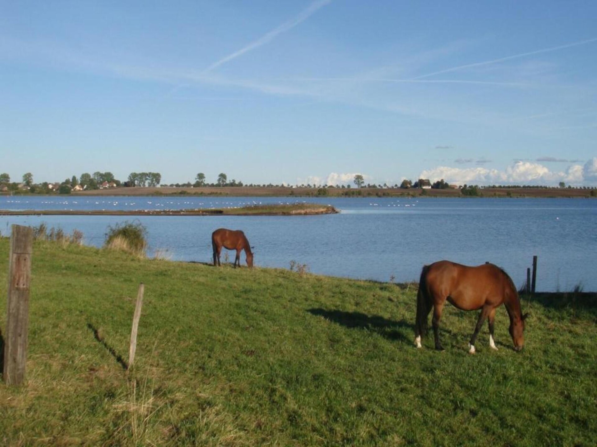 Vrijstaande bungalow voor 4 op Insel Poel, vlakbij Oostzee - foto 25