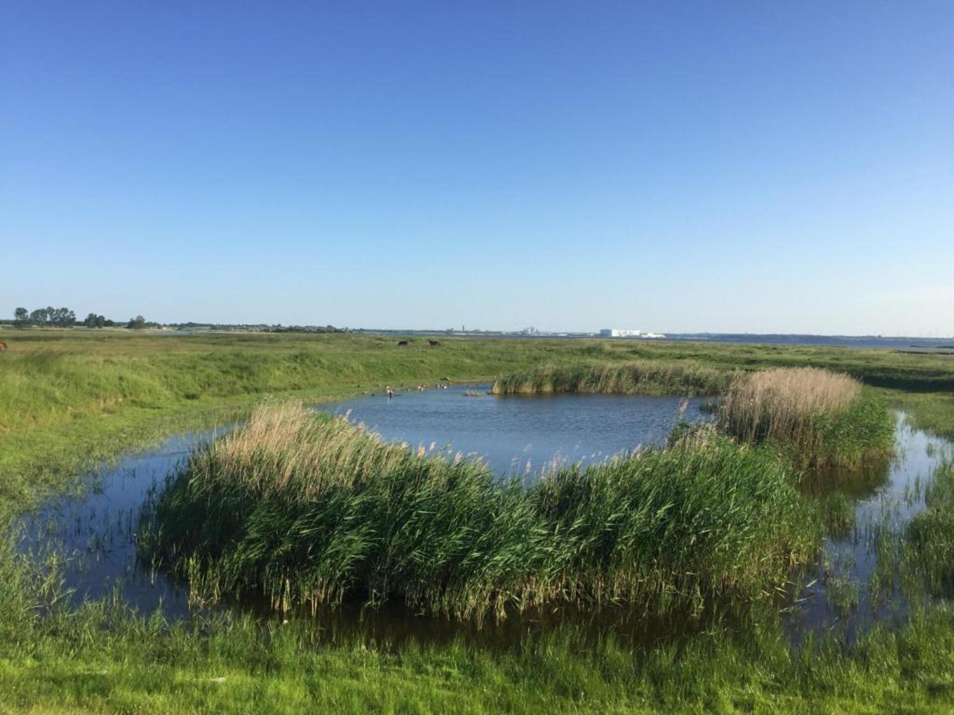 Vrijstaande bungalow voor 4 op Insel Poel, vlakbij Oostzee - foto 27