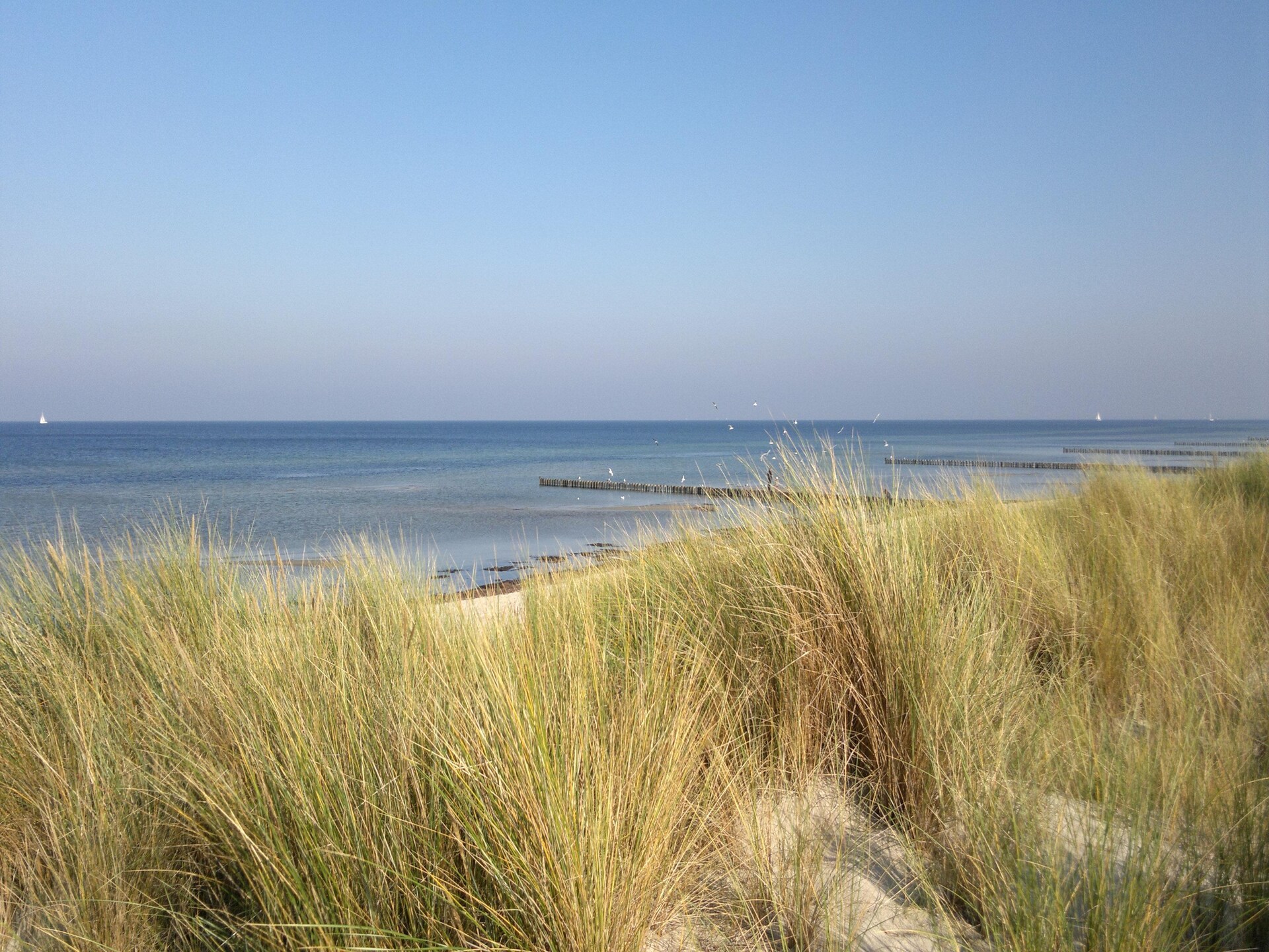 Knusse bungalow op Insel Poel, vlakbij zee en strand - foto 19