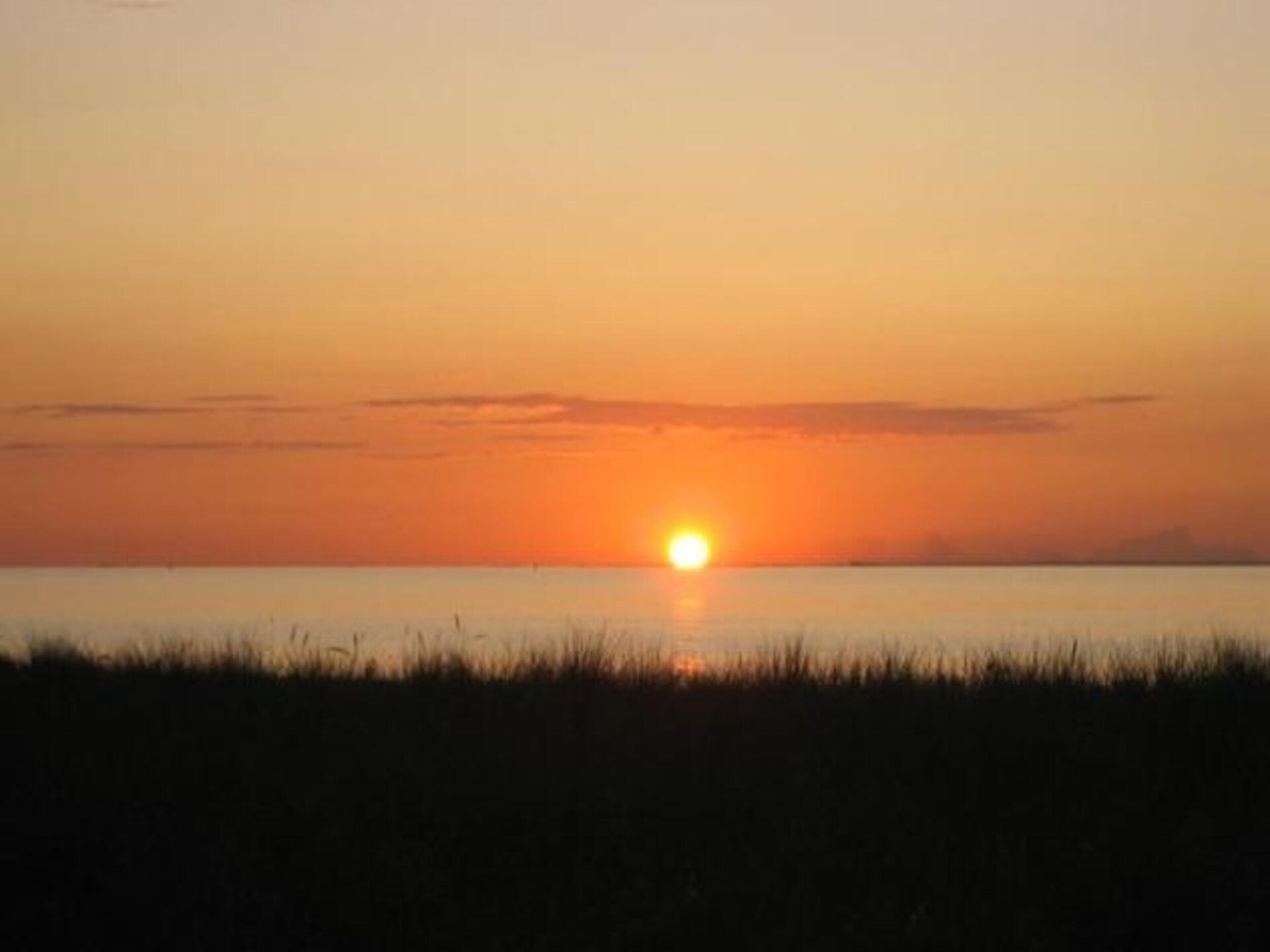 Knusse bungalow op Insel Poel, vlakbij zee en strand - foto 31