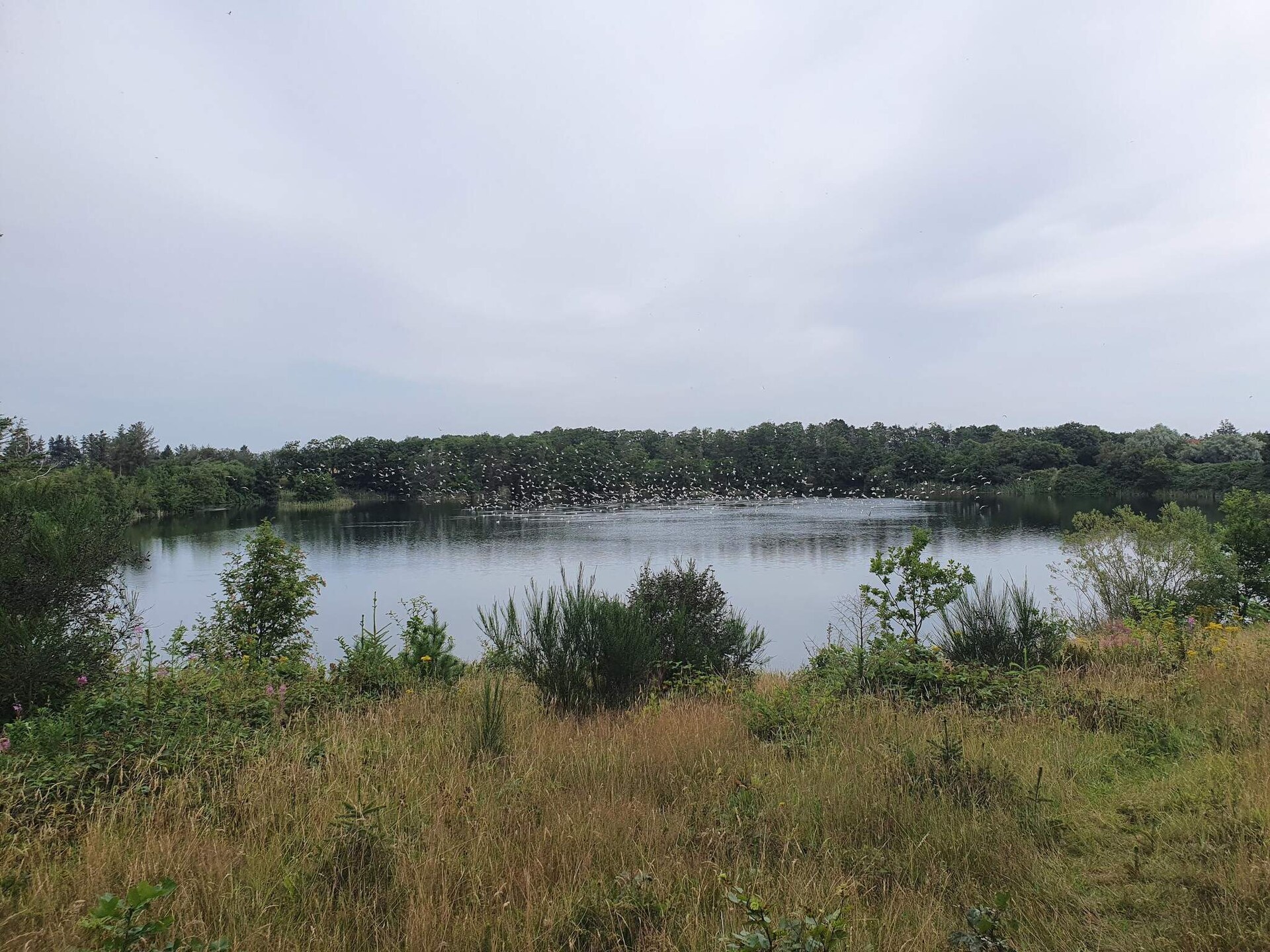 Kindvriendelijk vakantiehuis bij Hee met zwembad en visvijver, vlakbij Ringkøbing - foto 4