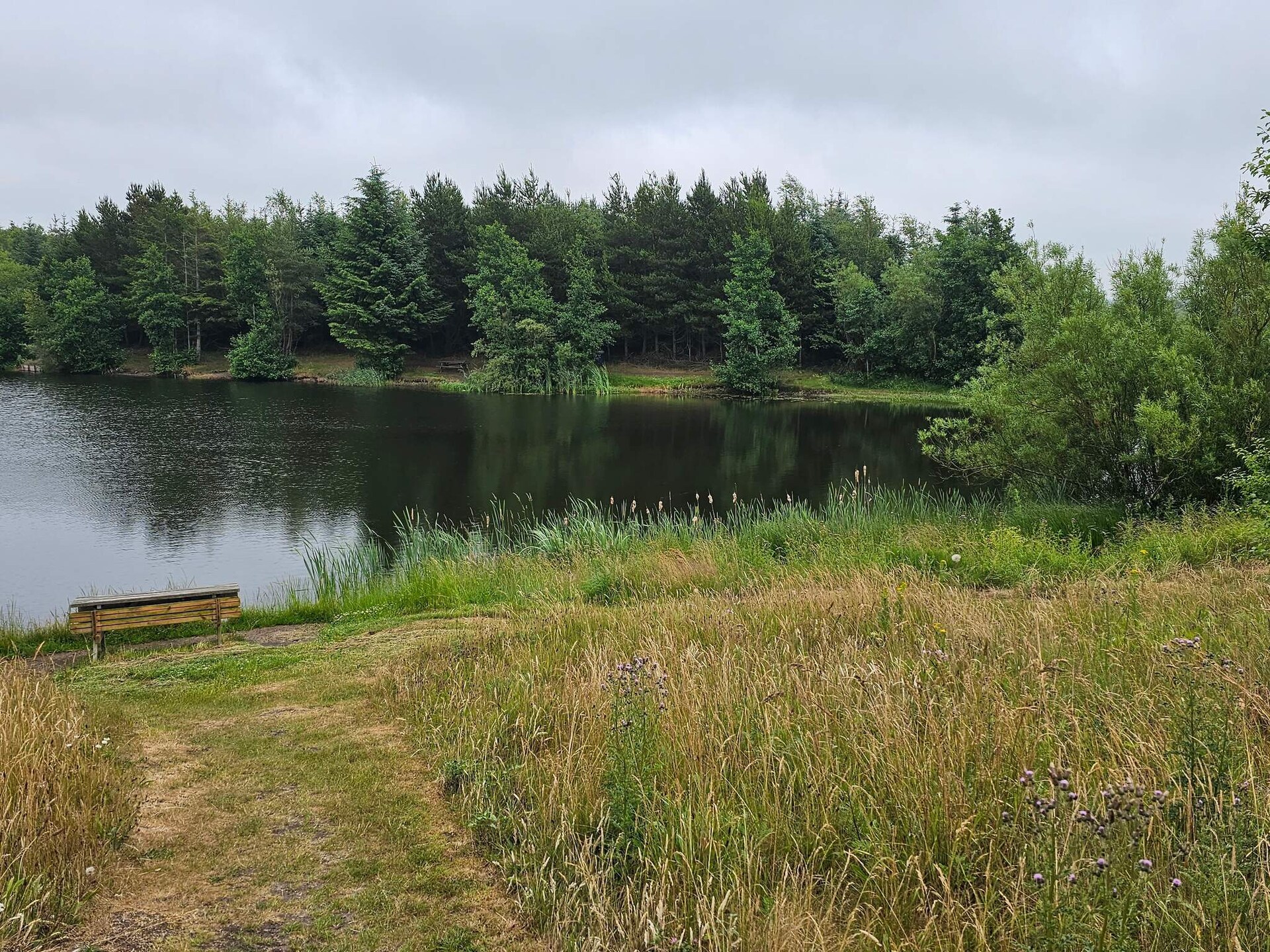 Kindvriendelijk vakantiehuis bij Hee met zwembad en visvijver, vlakbij Ringkøbing - foto 5