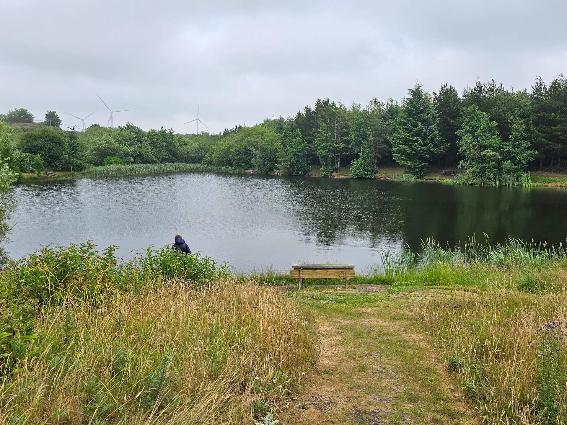 Kindvriendelijk vakantiehuis bij Hee met zwembad en visvijver, vlakbij Ringkøbing - foto 7