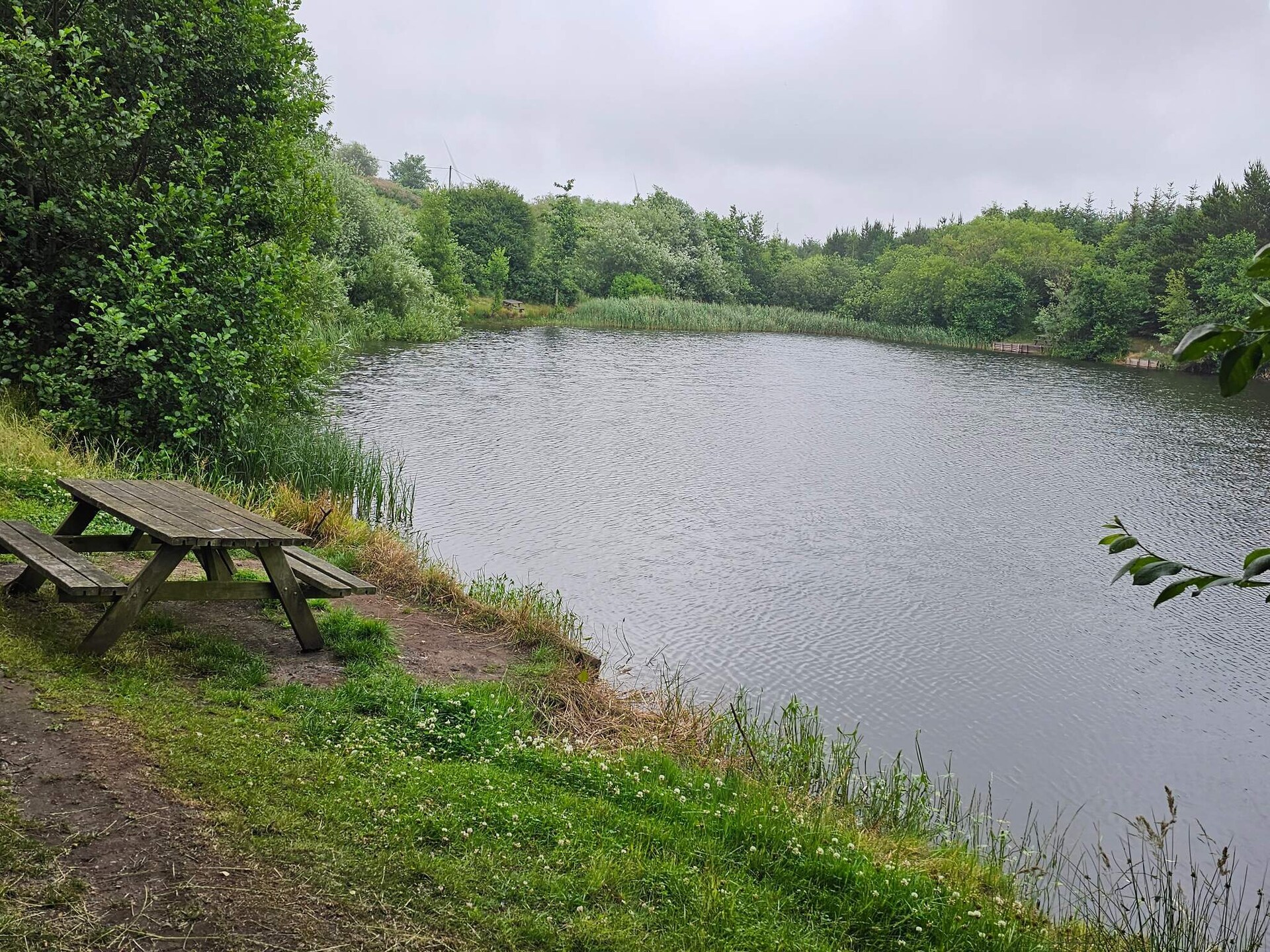 Kindvriendelijk vakantiehuis bij Hee met zwembad en visvijver, vlakbij Ringkøbing - foto 12