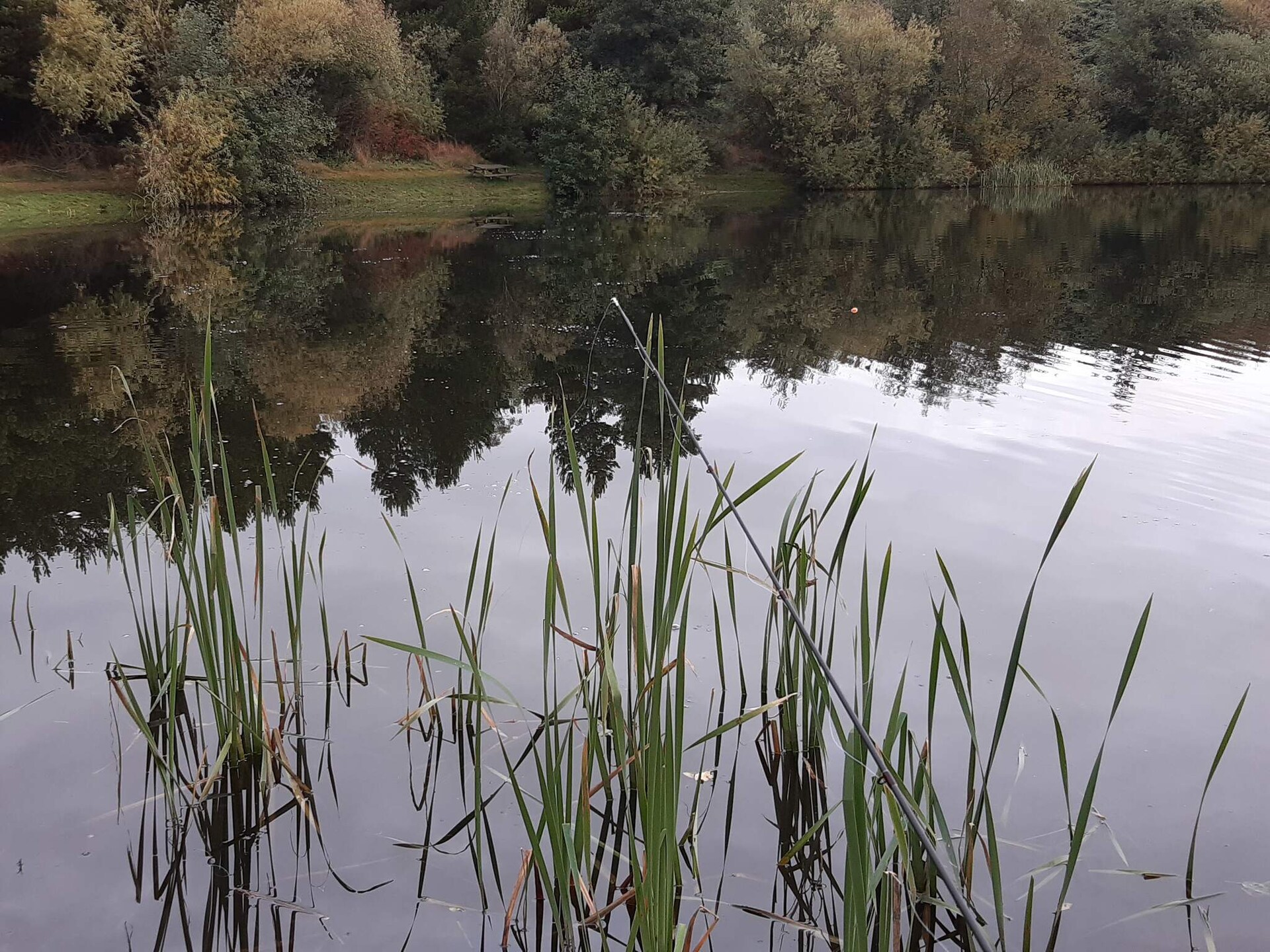 Kindvriendelijk vakantiehuis bij Hee met zwembad en visvijver, vlakbij Ringkøbing - foto 17