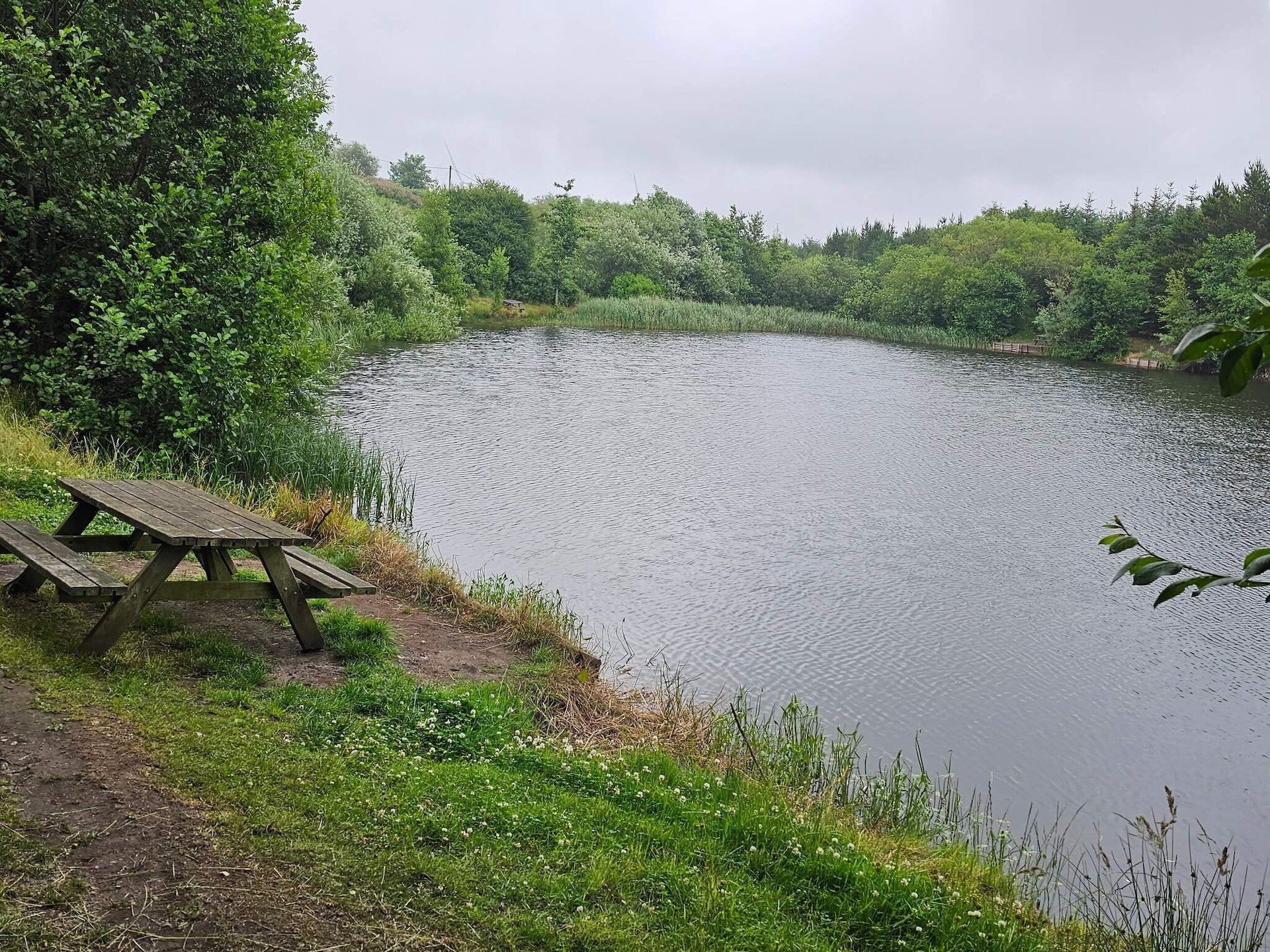 Sfeervol vakantiehuis in Ringkøbing bij Familie Parken - foto 12