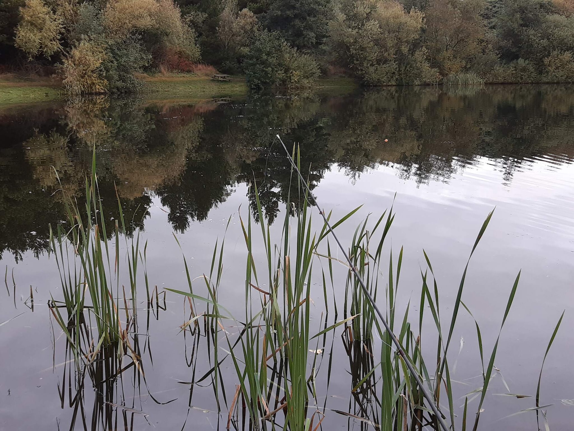 Sfeervol vakantiehuis in Ringkøbing bij Familie Parken - foto 17