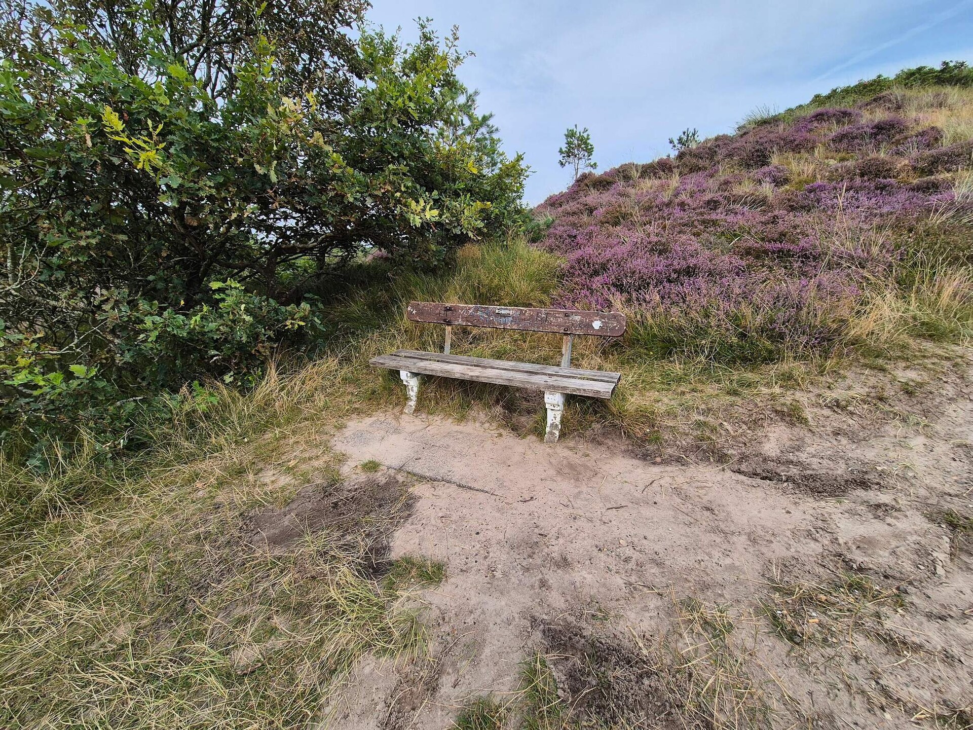 Vrijstaand vakantiehuis met sauna en whirlpool op Rømø, vlakbij zee - foto 13
