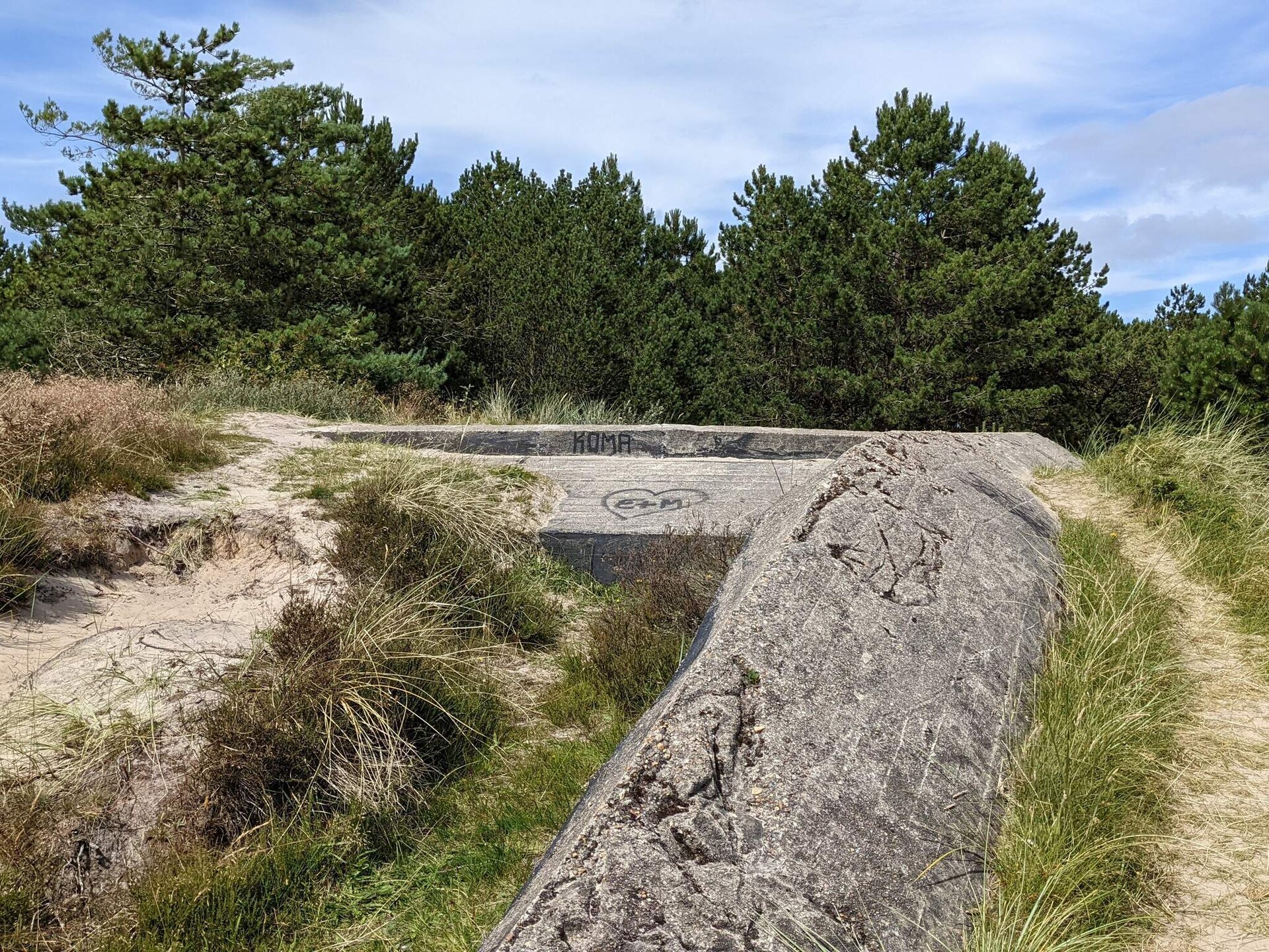 Vrijstaand rietgedekt vakantiehuis met sauna op groot natuurperceel, Rømø - foto 9