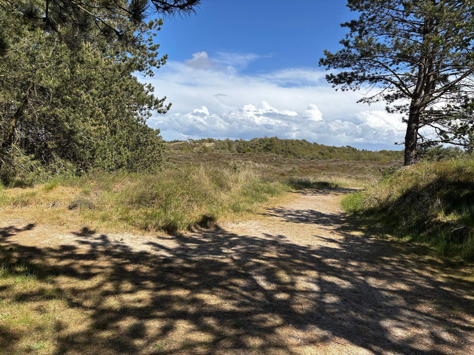 Vrijstaand rietgedekt vakantiehuis met sauna op groot natuurperceel, Rømø - foto 2