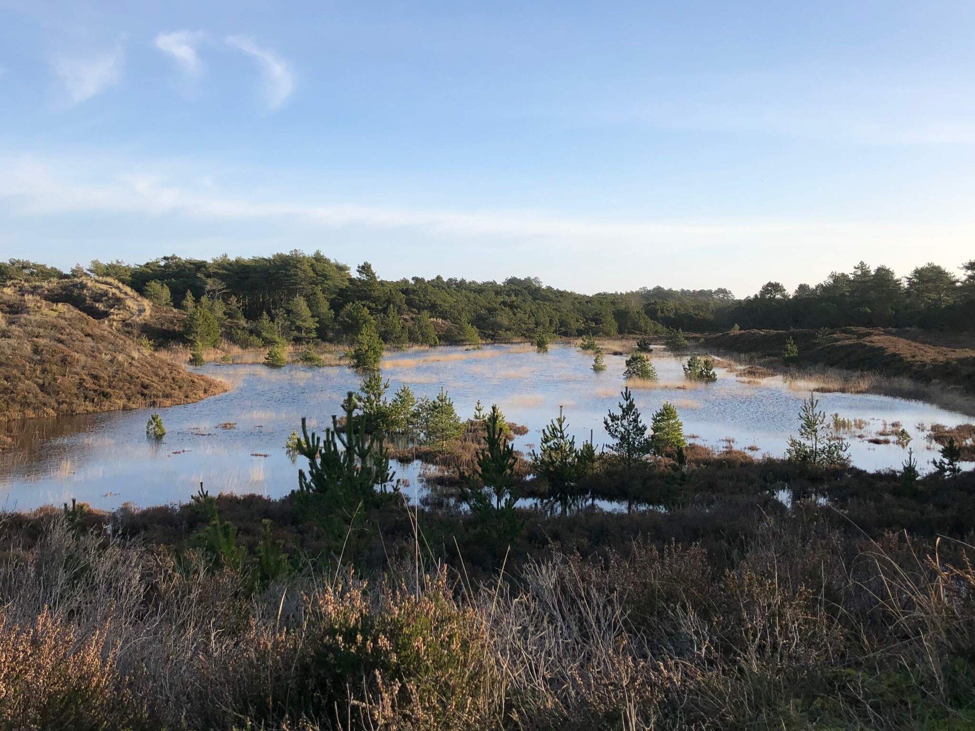 Vrijstaand rietgedekt vakantiehuis met sauna op groot natuurperceel, Rømø - foto 10
