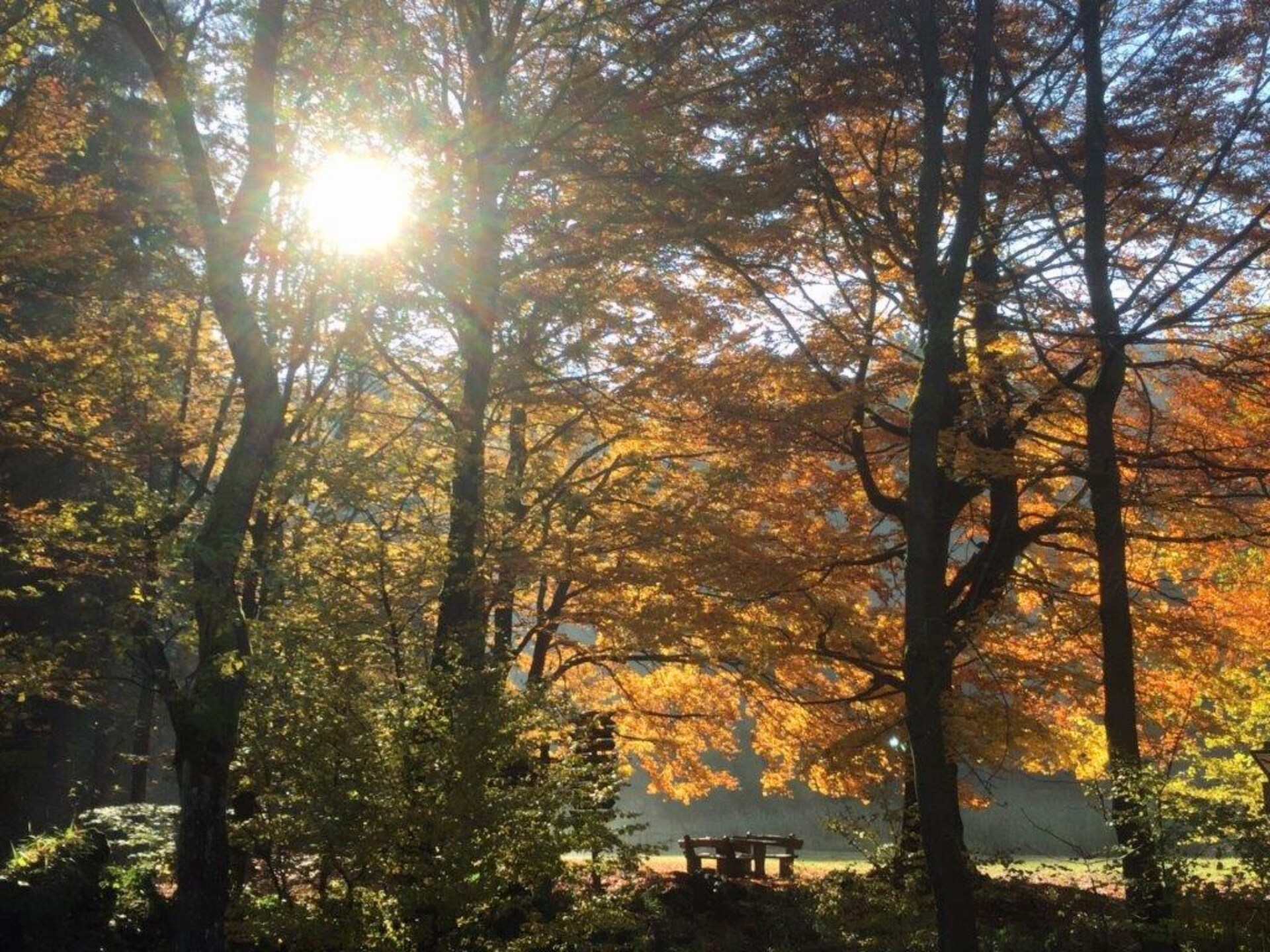 Gerenoveerd vakantiehuis in het bos bij Großalmerode voor 8 personen - foto 25