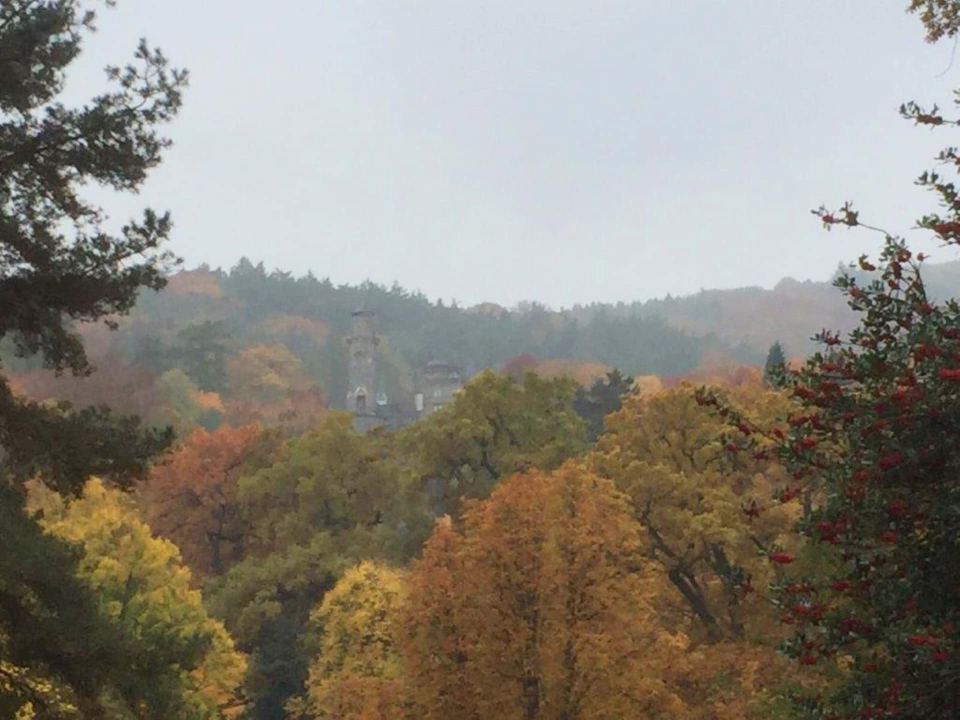 Gerenoveerd vakantiehuis in het bos bij Großalmerode voor 8 personen - foto 27