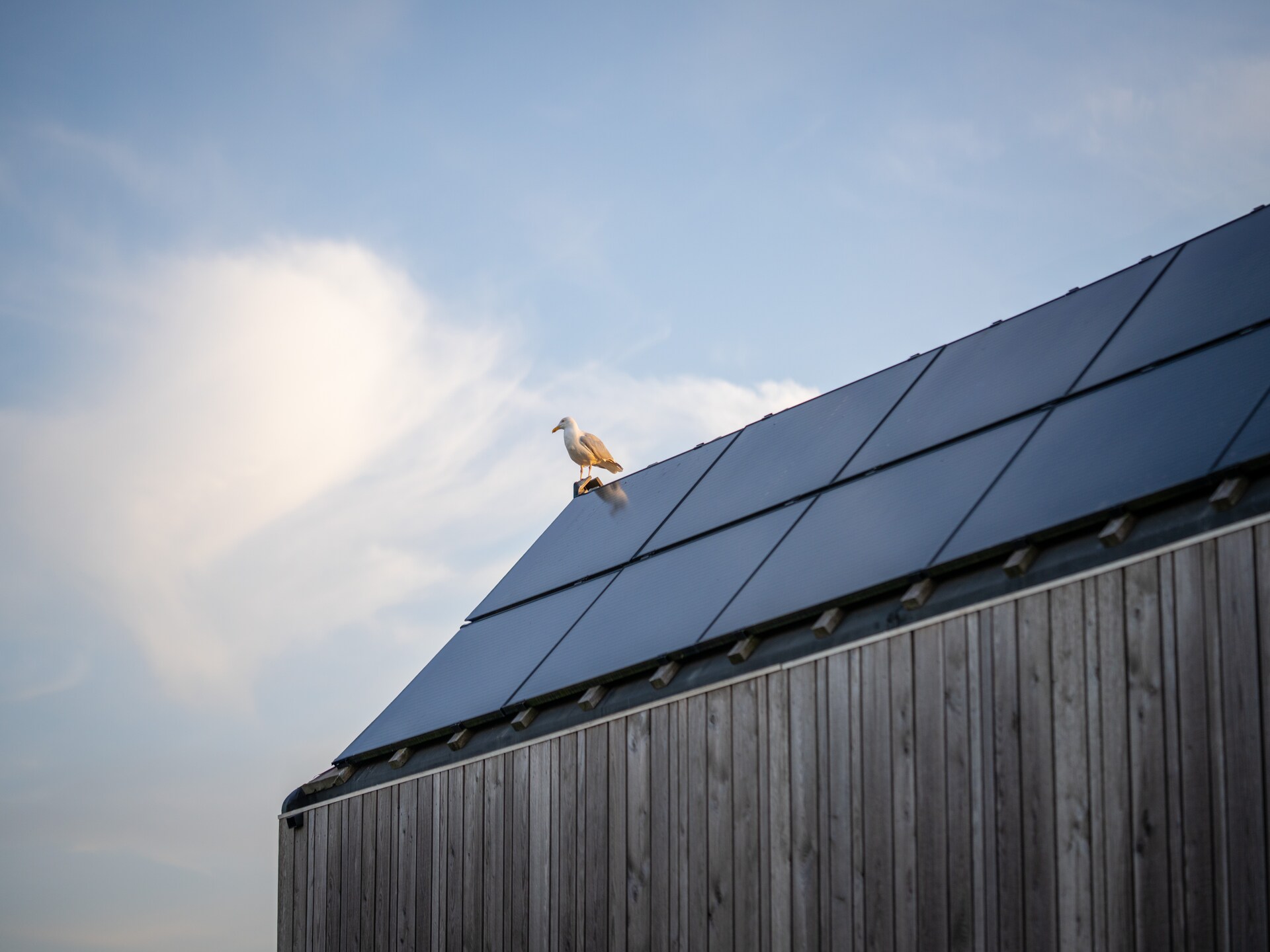 Tiny house aan het Grevelingenmeer: duurzaam genieten in Ouddorp - foto 33