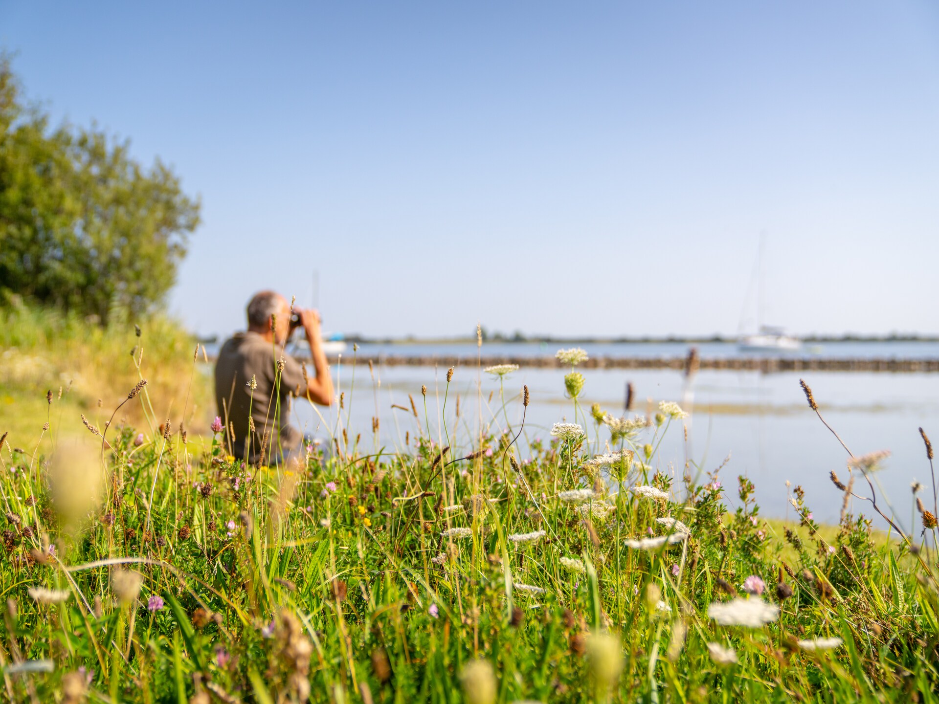 Tiny house aan het Grevelingenmeer: duurzaam genieten in Ouddorp - foto 24