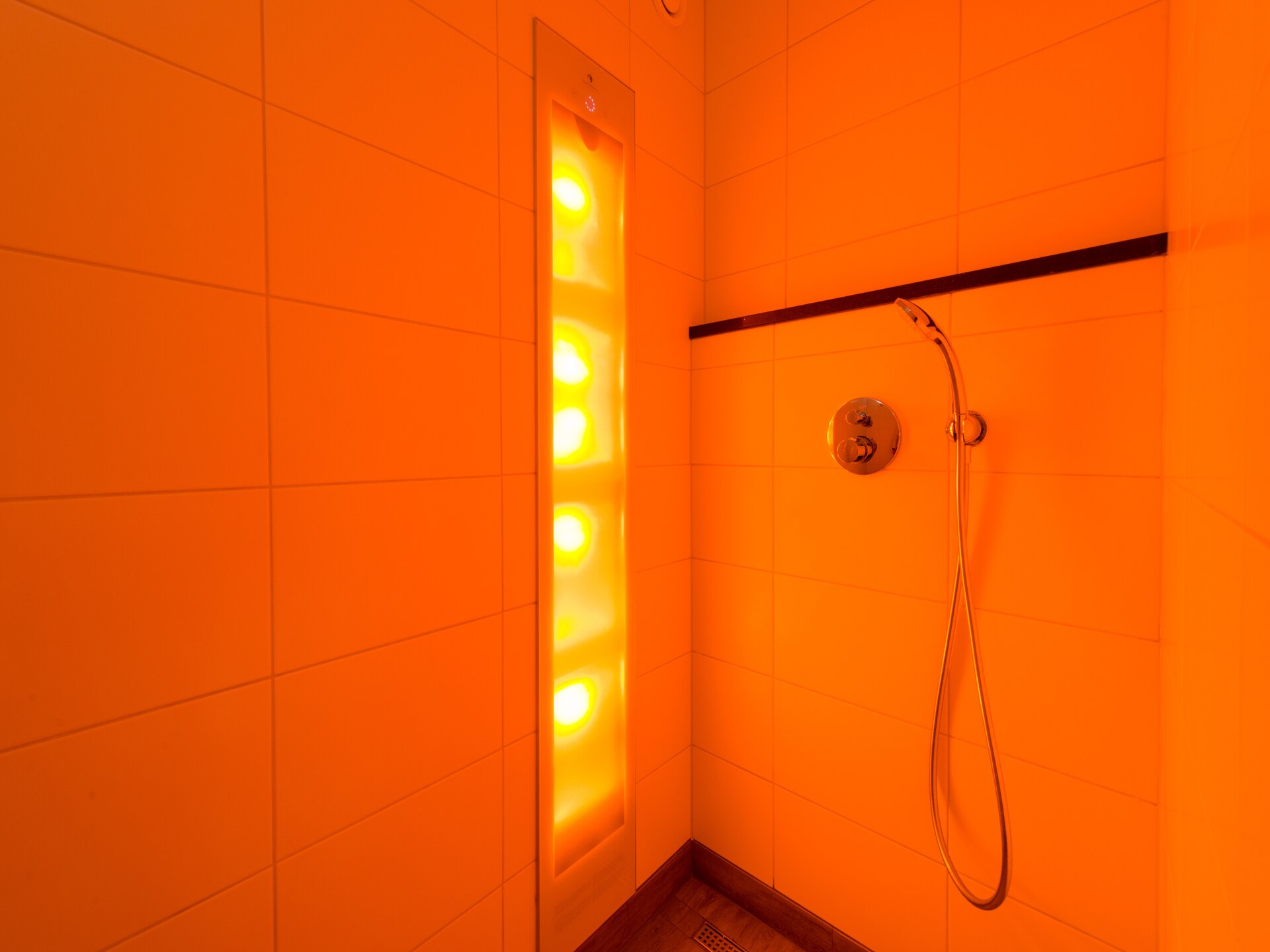 Luxe groepsvilla met sauna en sunshower op Hof van Salland - foto 2