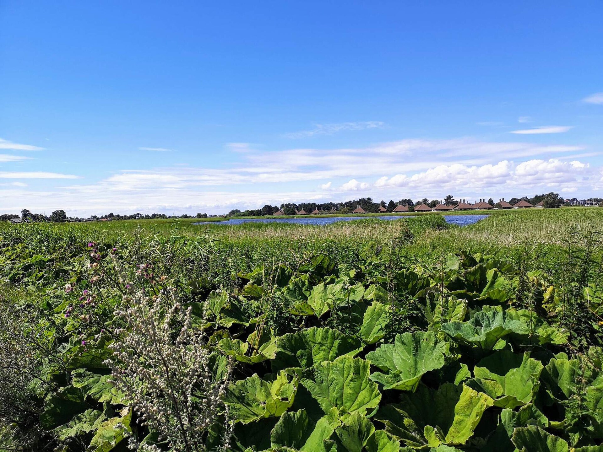 Knus vrijstaand vakantiehuis op Enø, 350m van zee - foto 5