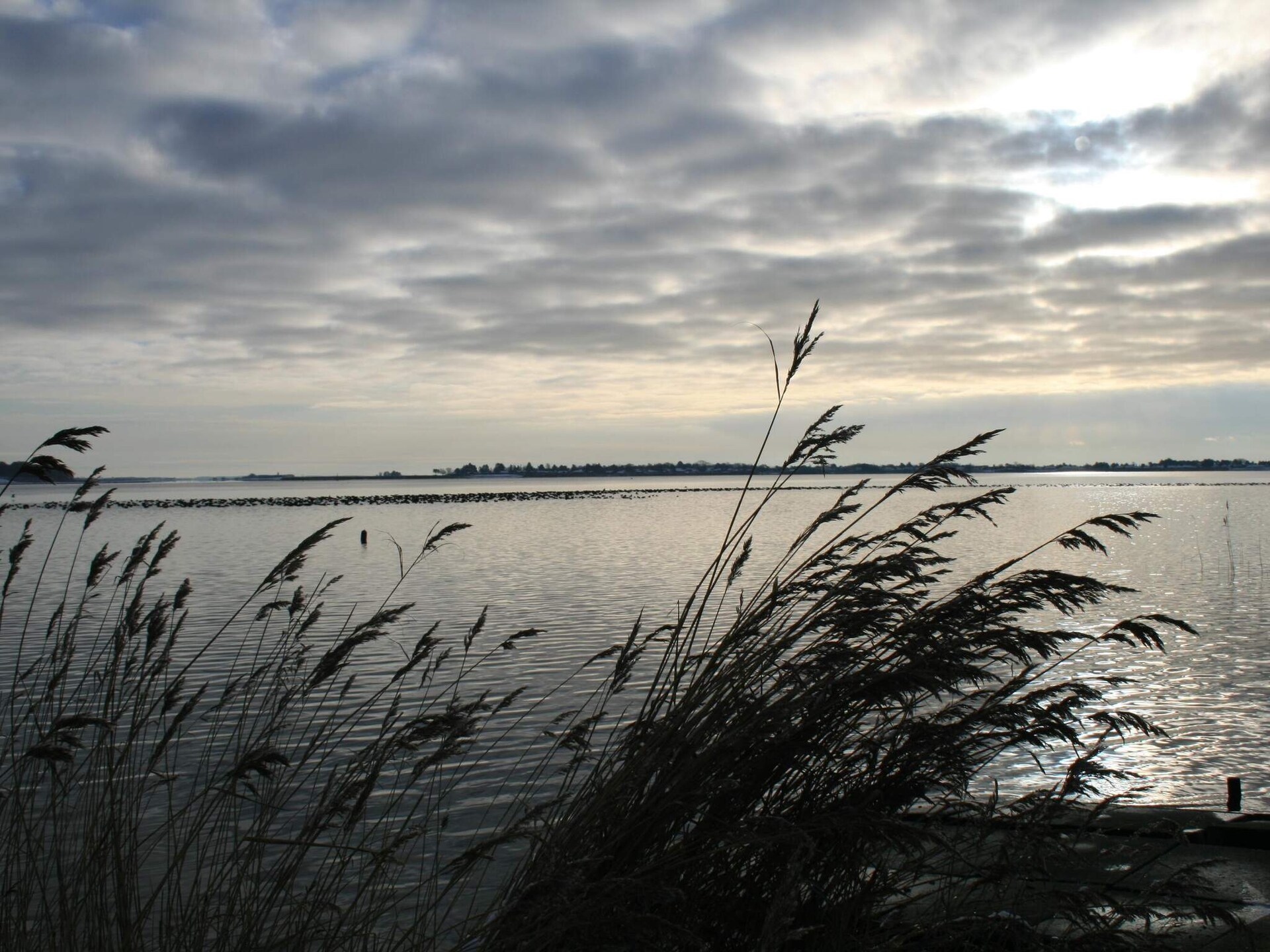 Knus vrijstaand vakantiehuis op Enø, 350m van zee - foto 13