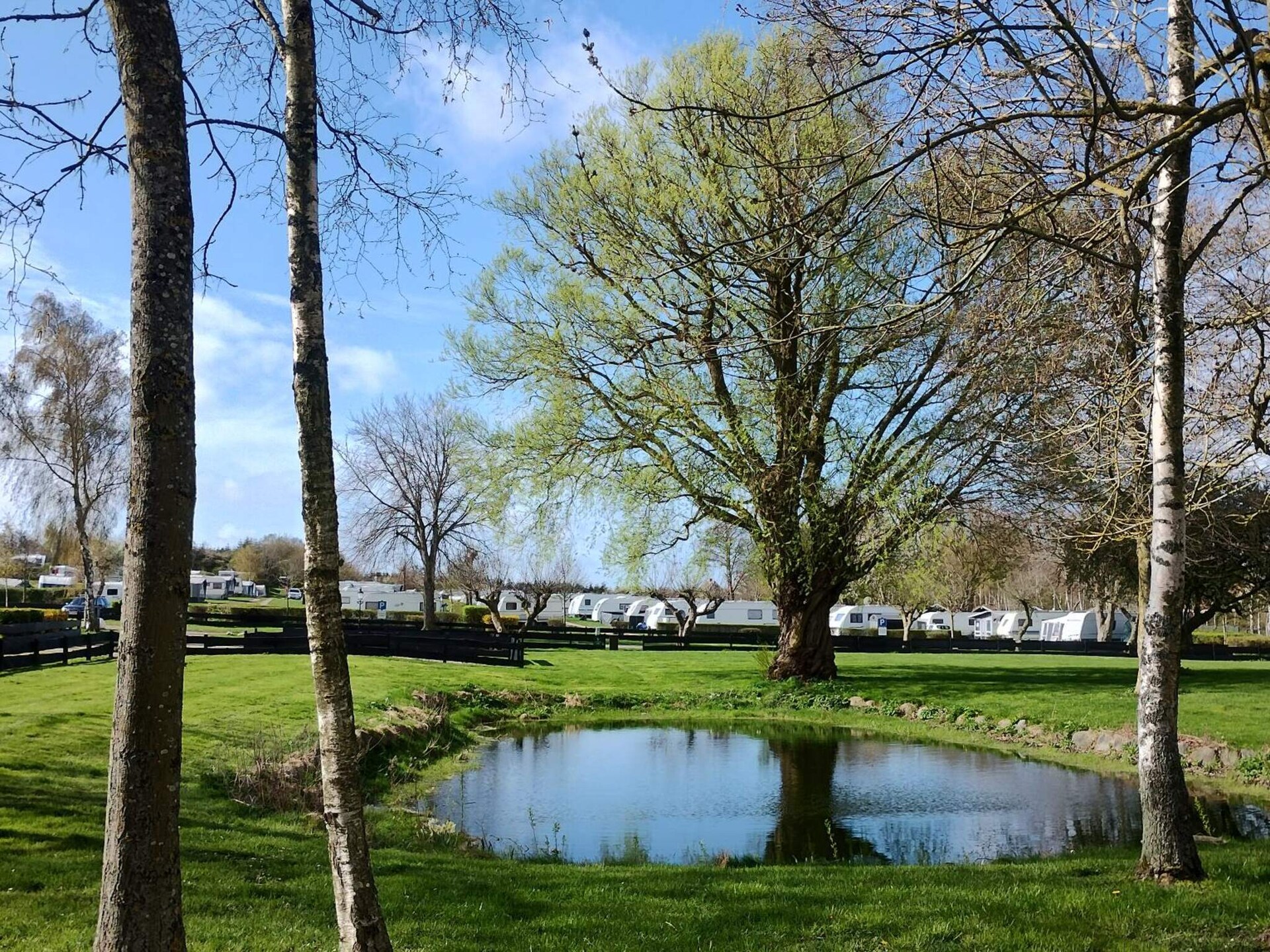 Knus vrijstaand vakantiehuis op Enø, 350m van zee - foto 14