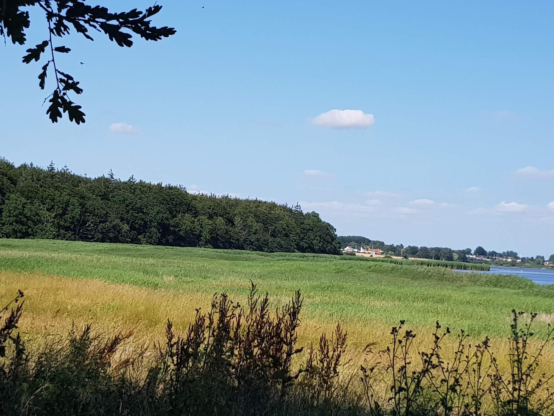 Knus vrijstaand vakantiehuis op Enø, 350m van zee - foto 19