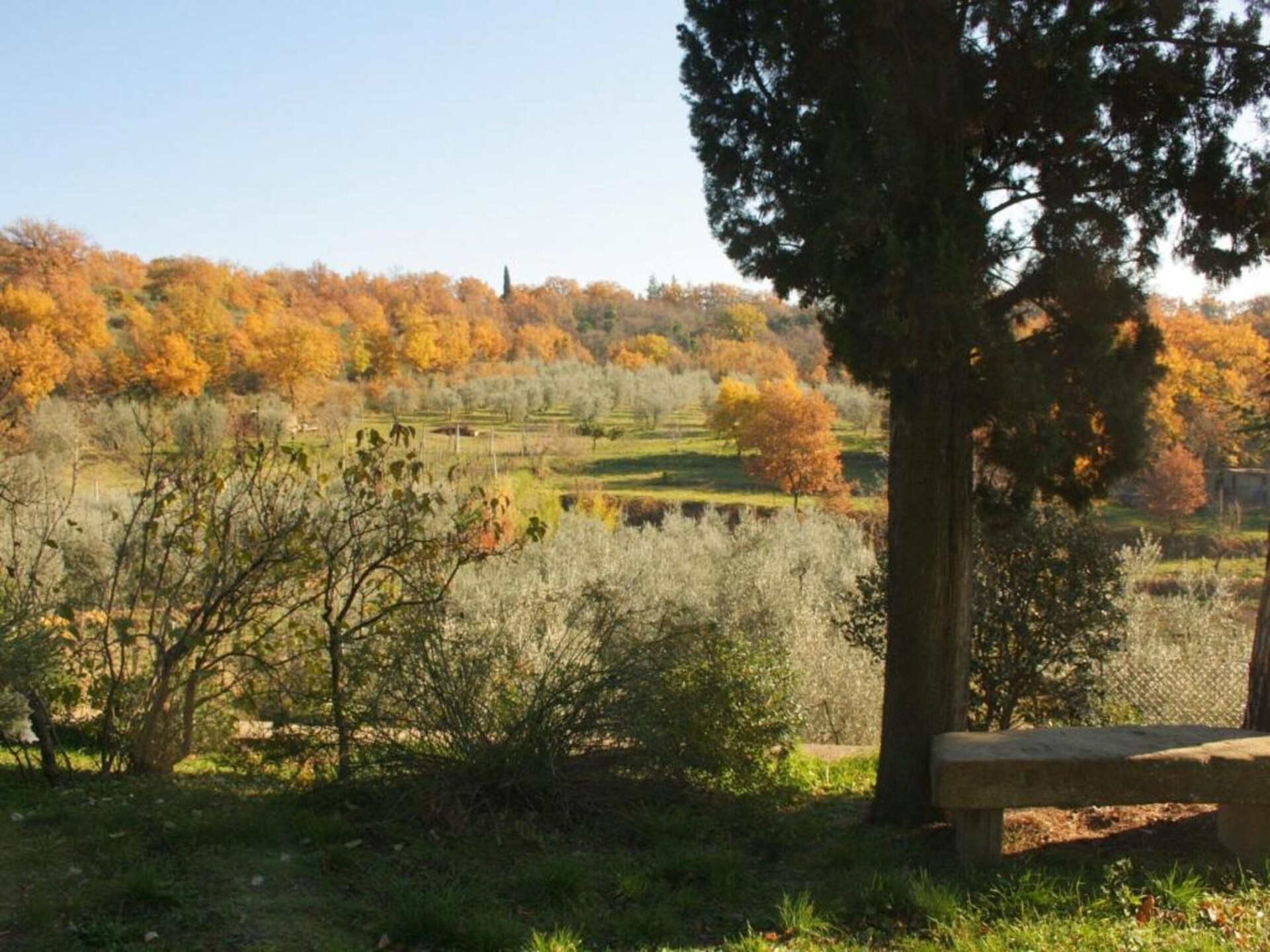 Vrijstaande Toscaanse boerderij voor 4 in de bossen bij Arezzo - foto 27