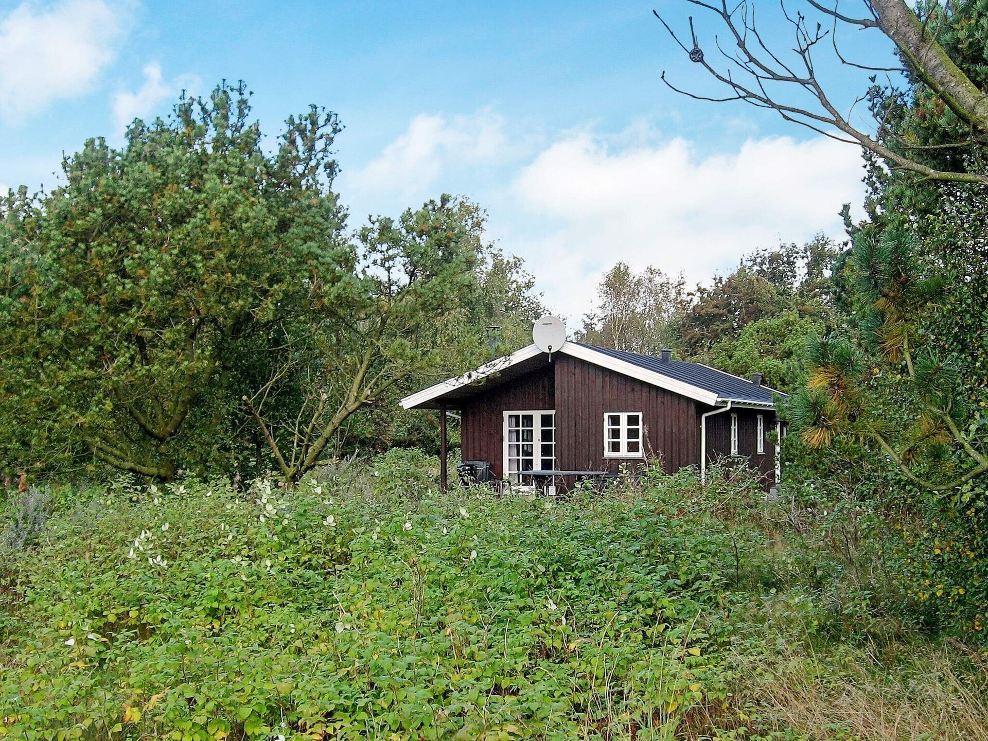 Knus vrijstaand huis op natuurperceel, 300m van zee bij Aabybro - foto 1
