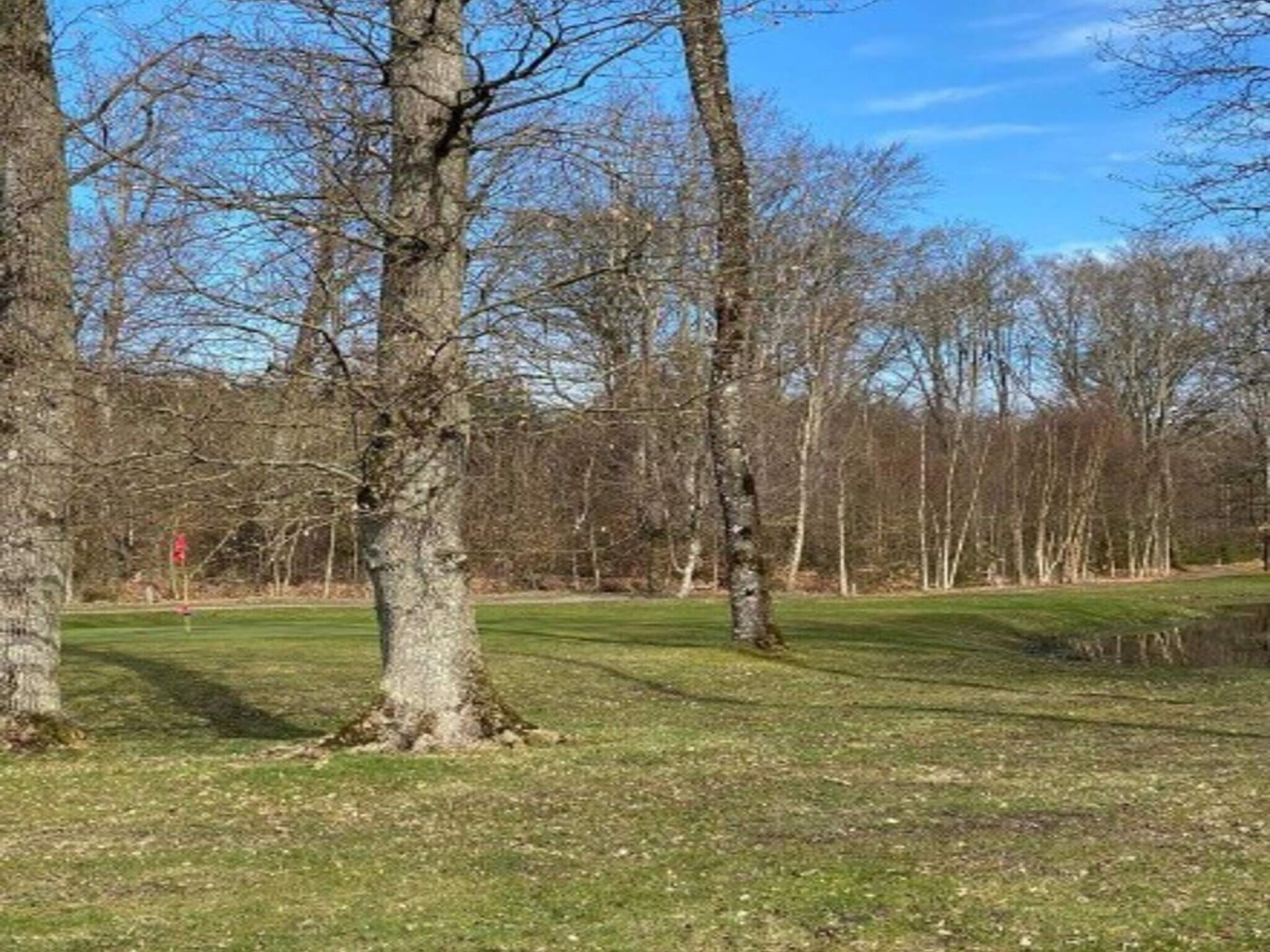 Knus vrijstaand huis op natuurperceel, 300m van zee bij Aabybro - foto 13