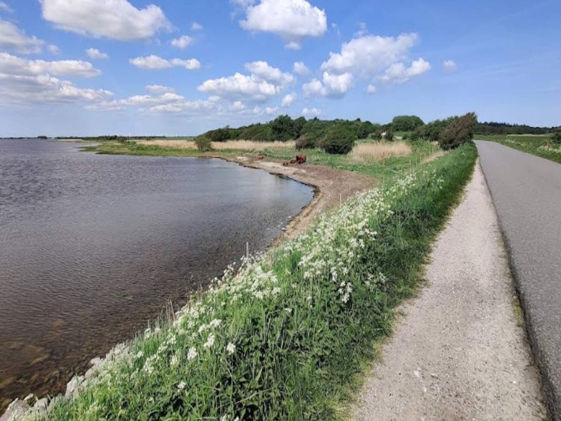 Knus vrijstaand huis op natuurperceel, 300m van zee bij Aabybro - foto 17