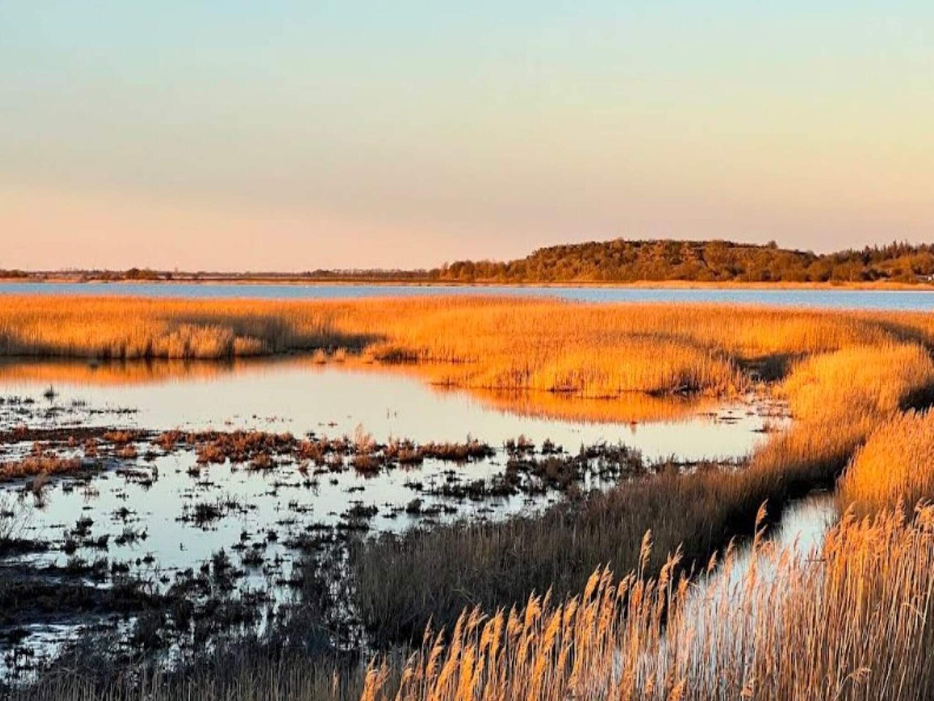 Knus vrijstaand huis op natuurperceel, 300m van zee bij Aabybro - foto 20