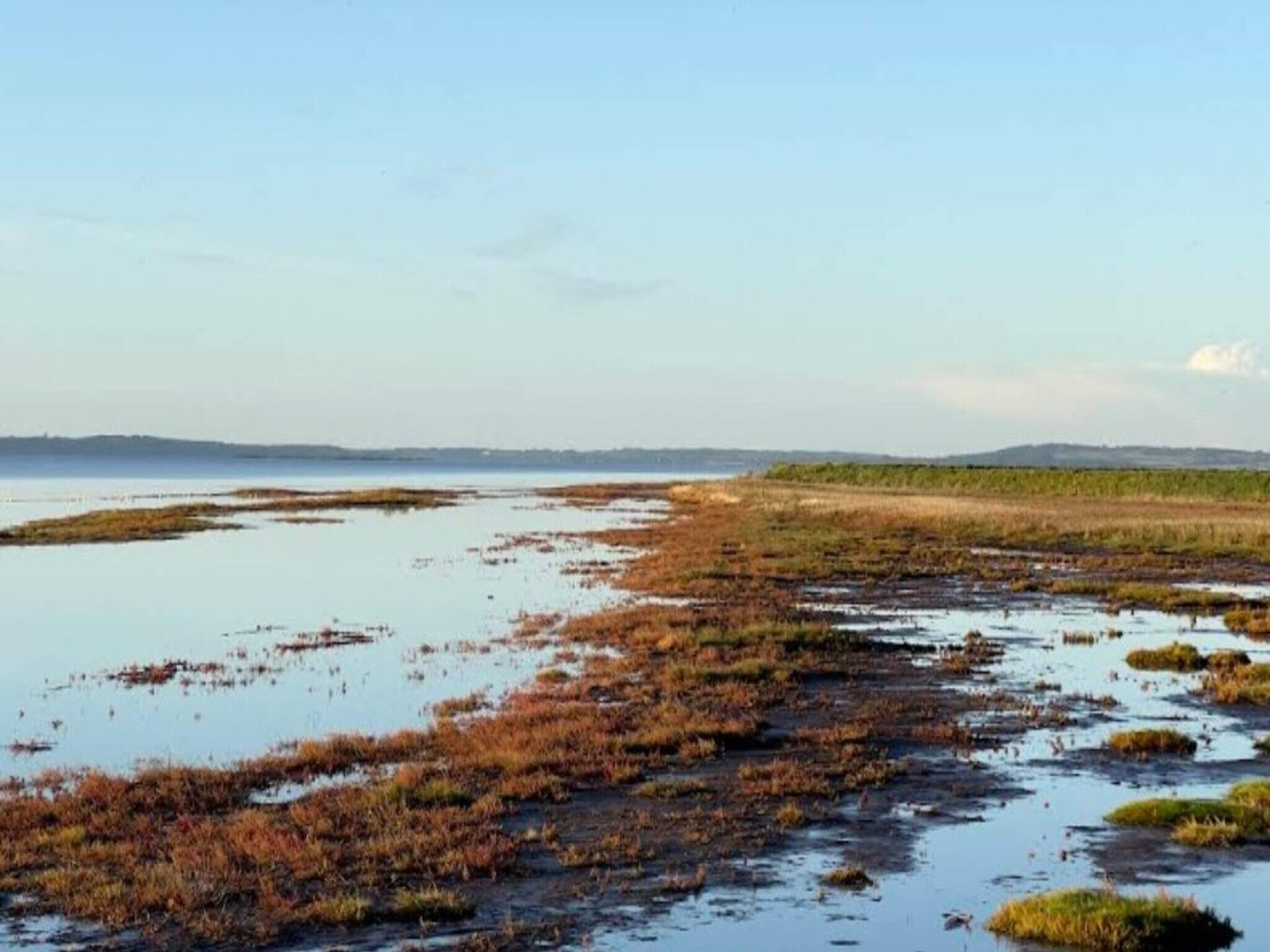Knus vrijstaand huis op natuurperceel, 300m van zee bij Aabybro - foto 25