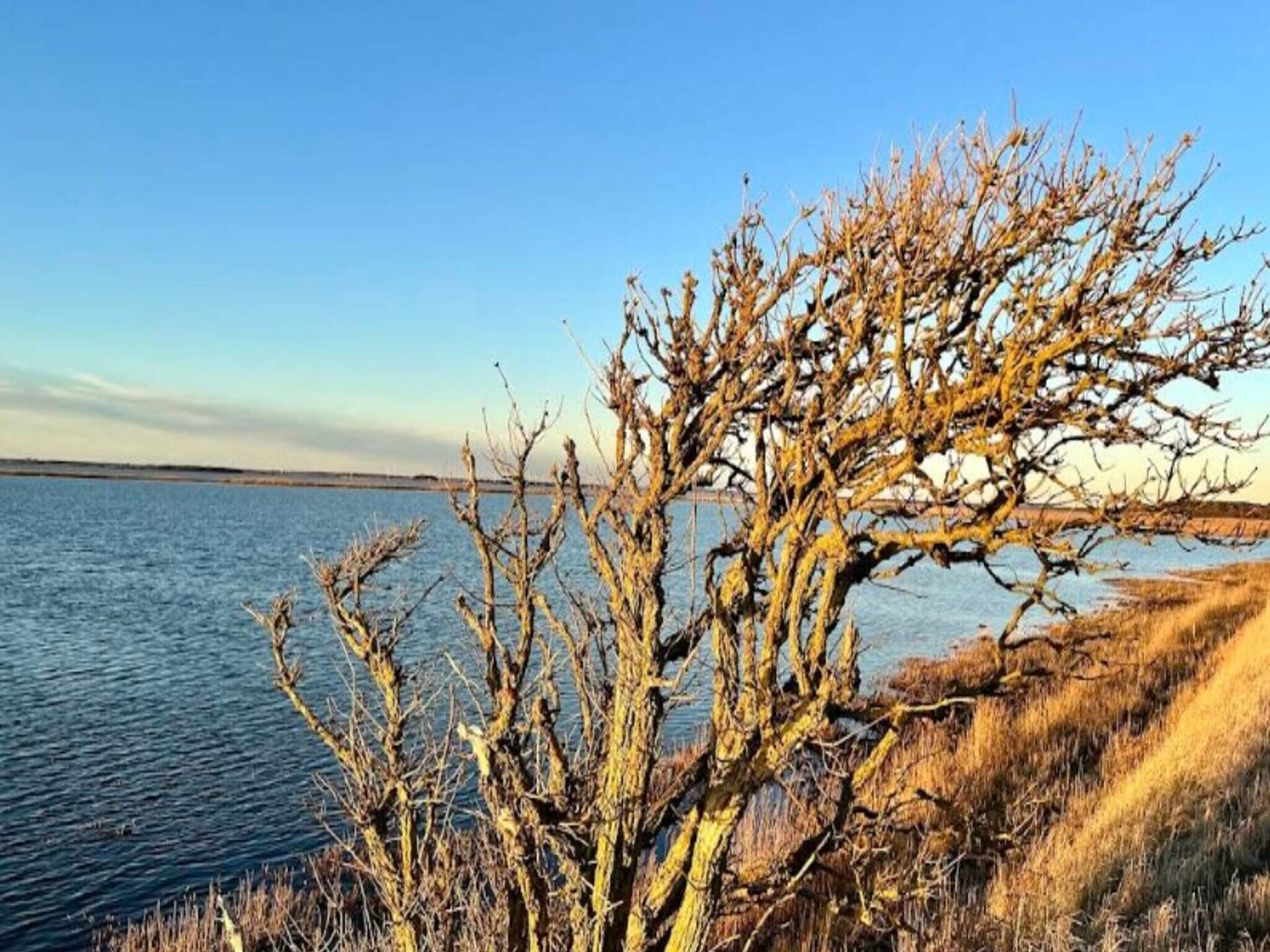Knus vrijstaand huis op natuurperceel, 300m van zee bij Aabybro - foto 26