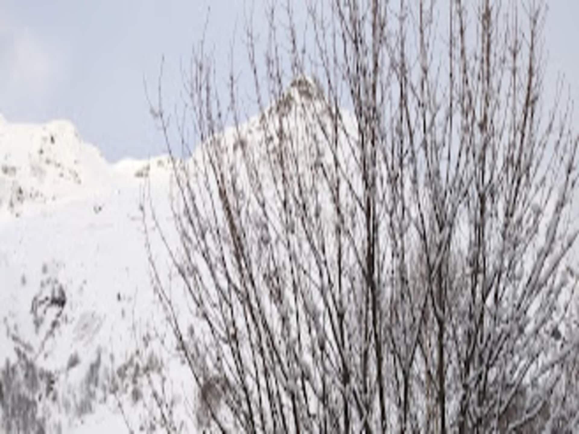 Aan de piste: Ruim chalet voor 8 personen in Les Menuires - foto 15